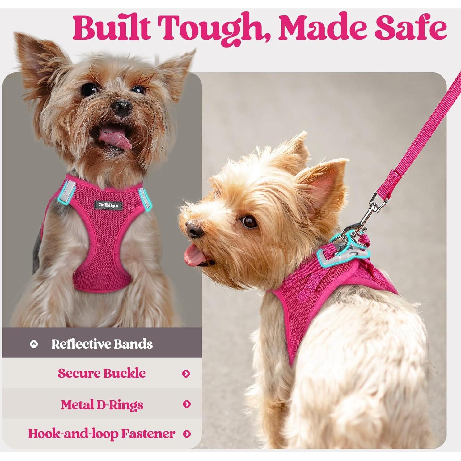 Arnés para Perros Rabbitgoo S Rojo Rosa con Correa Reflectante