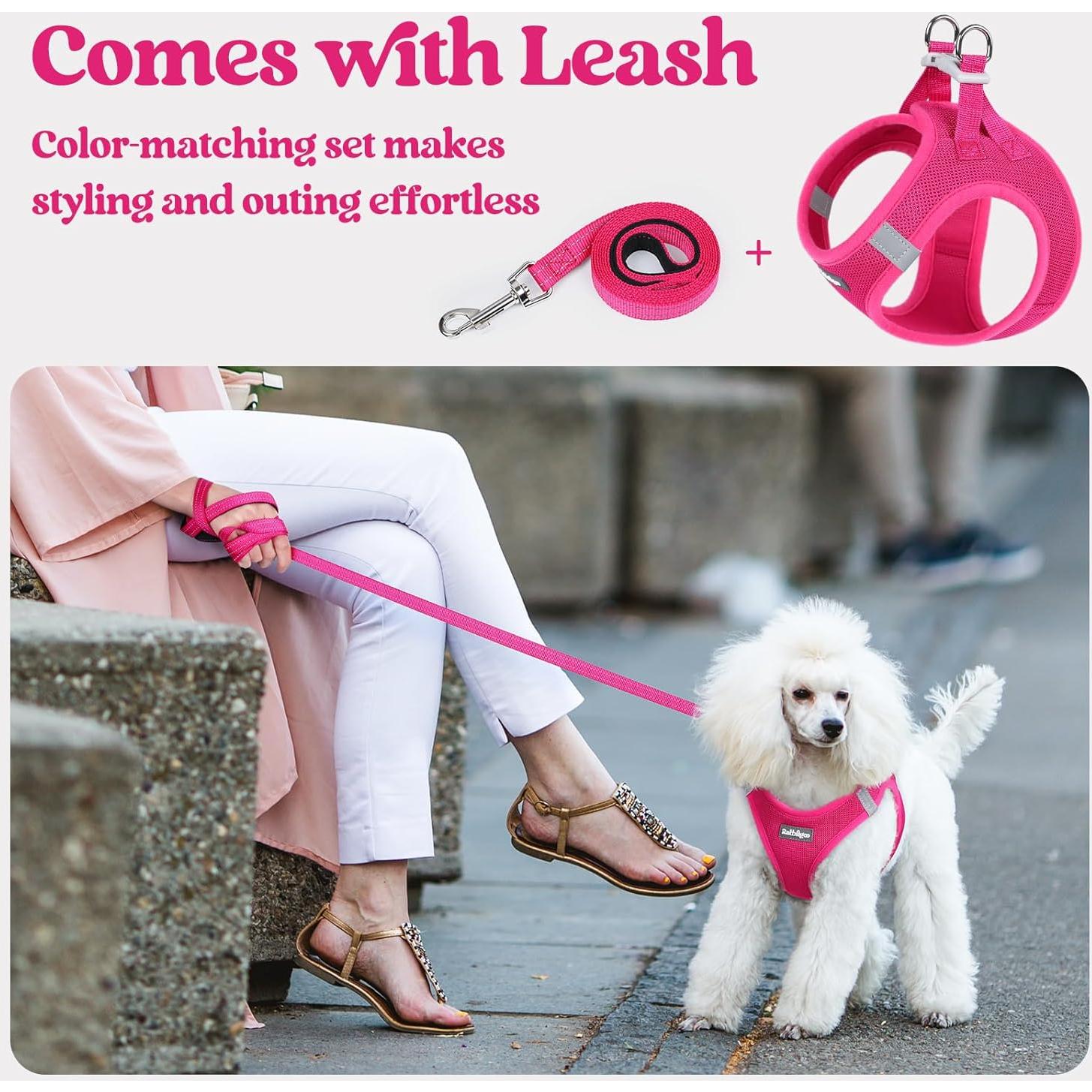 Arnés para Perros Rabbitgoo S Rojo Rosa con Correa Reflectante