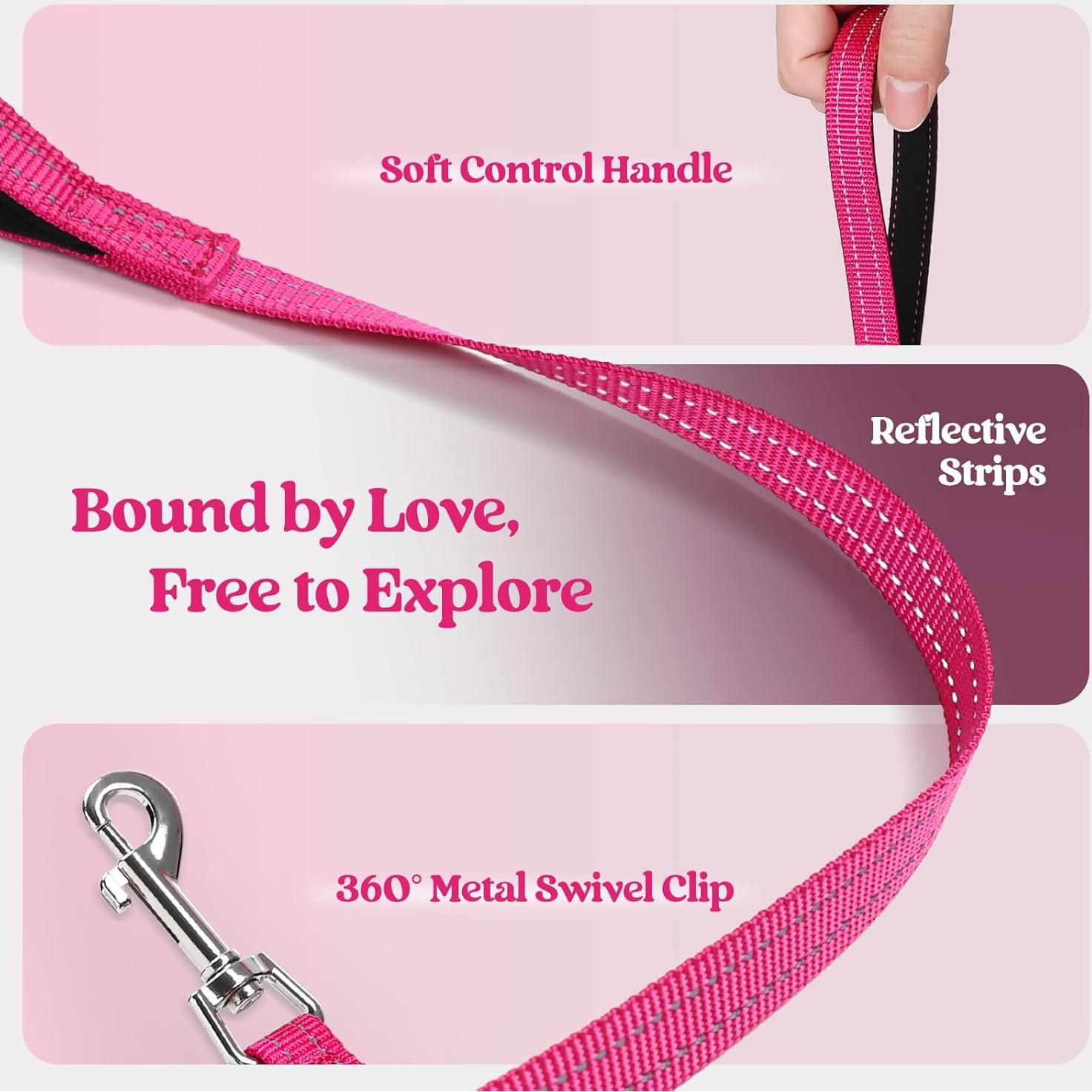 Arnés para Perros Rabbitgoo S Rojo Rosa con Correa Reflectante