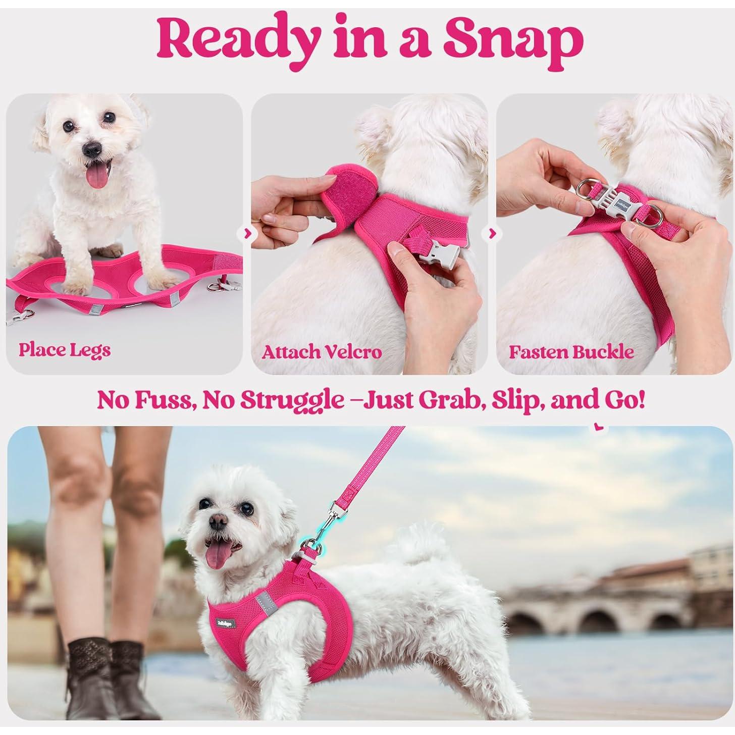 Arnés para Perros Rabbitgoo S Rojo Rosa con Correa Reflectante