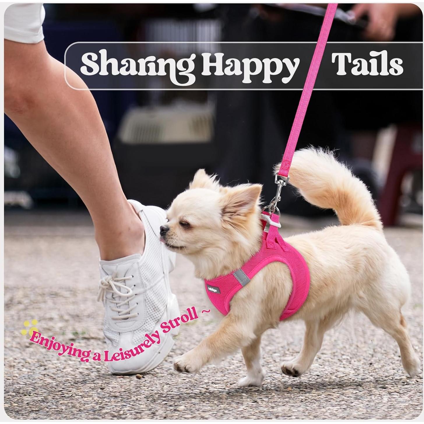 Arnés para Perros Rabbitgoo S Rojo Rosa con Correa Reflectante