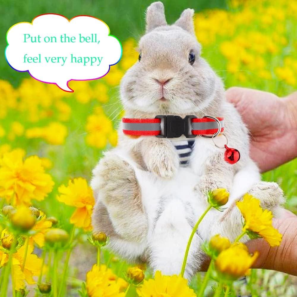 Collares Ajustables para Conejos y Cobayas DQITJ - 4 Piezas