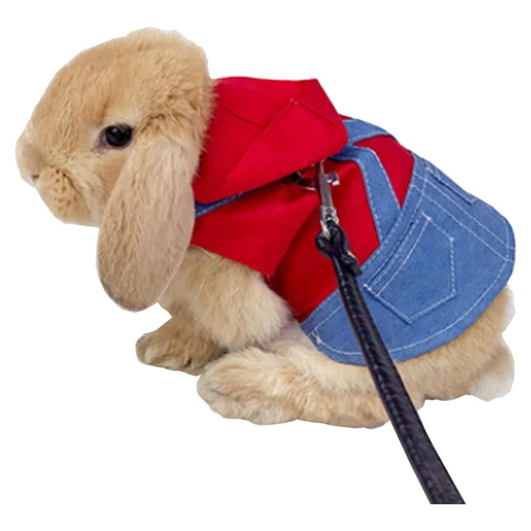 Sudadera con Capucha para Mascotas Pequeñas Anelekor - Arnés y Correa