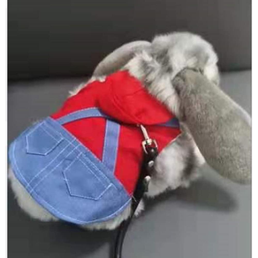 Sudadera con Capucha para Mascotas Pequeñas Anelekor - Arnés y Correa