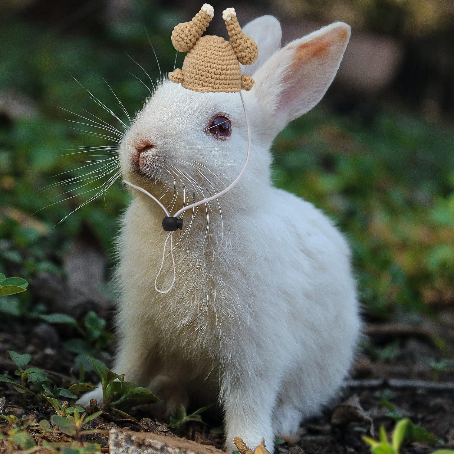 Sombrero de Pavo para Mascotas Oooct - Mini Ajustable 6.5 cm