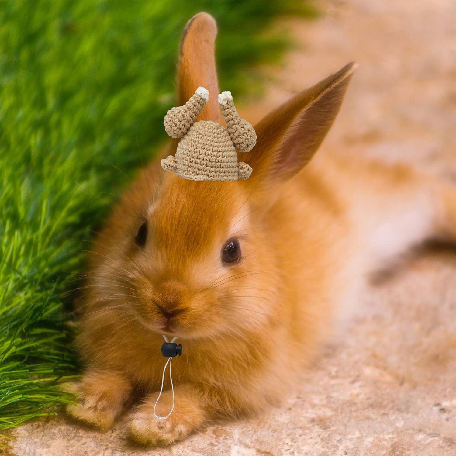 Sombrero de Pavo para Mascotas Oooct - Mini Ajustable 6.5 cm