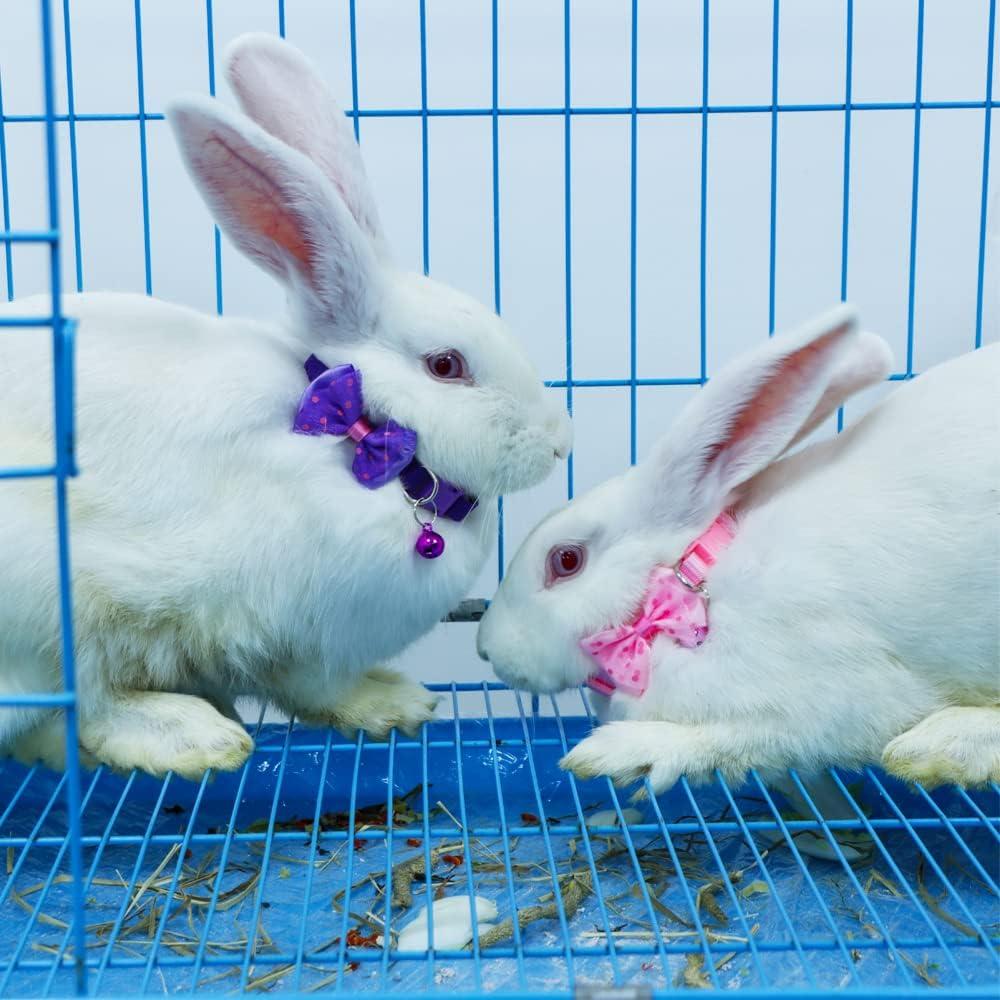 Collares Ajustables para Conejos DQITJ - 3 Pcs con Campana