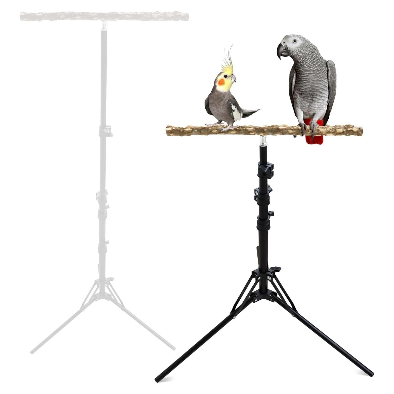 Soporte para Percha de Pájaro de Madera Ajustable MinrzPet