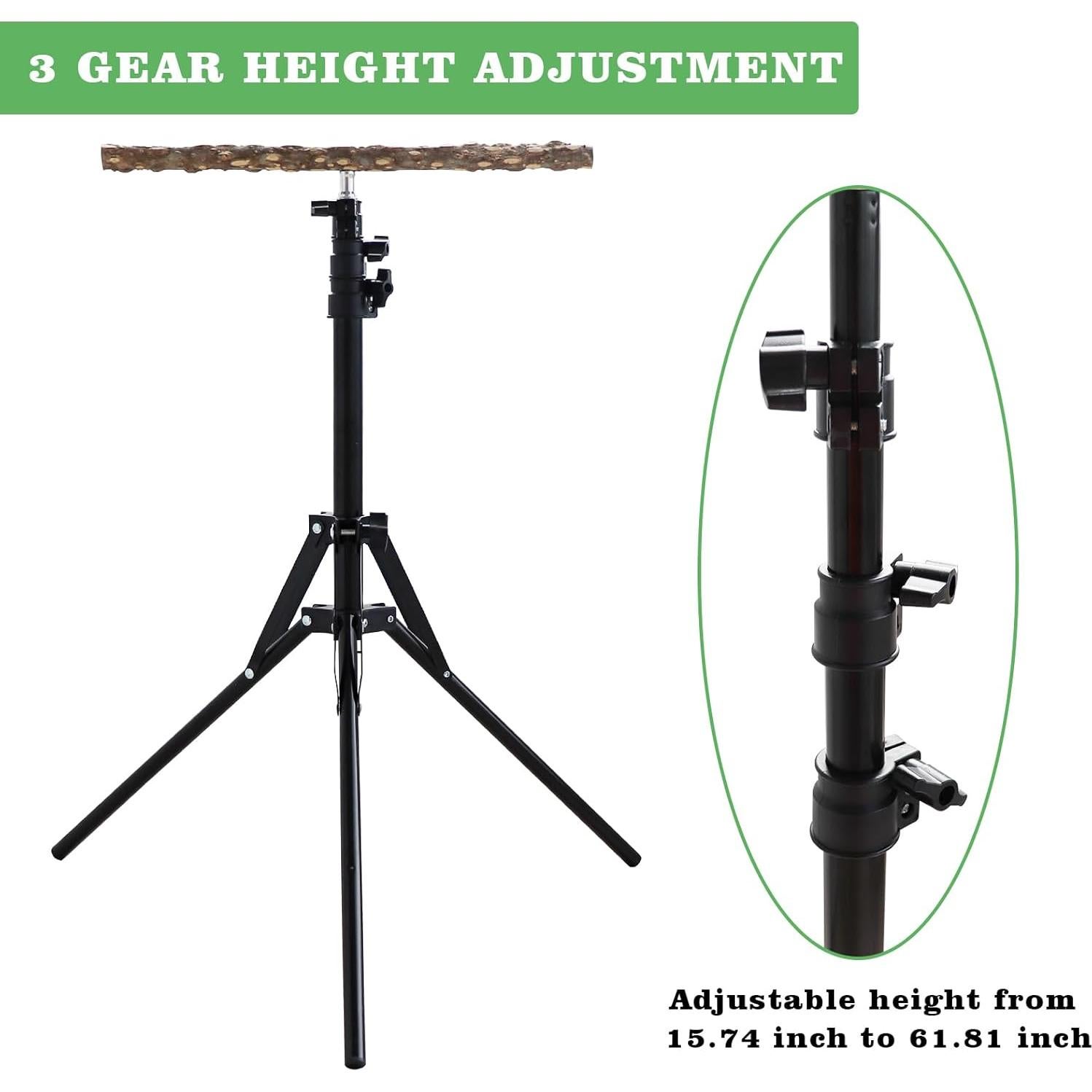 Soporte para Percha de Pájaro de Madera Ajustable MinrzPet