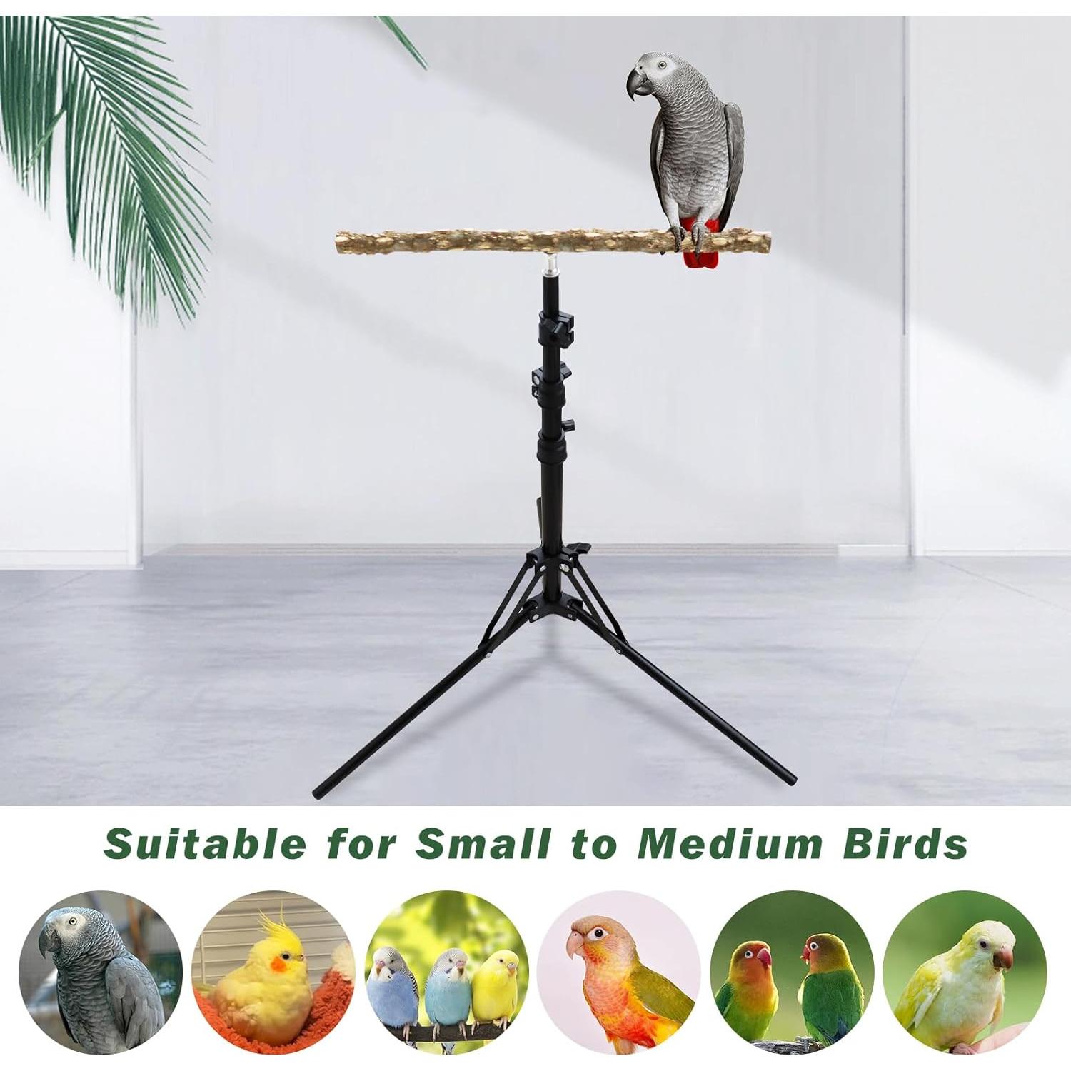 Soporte para Percha de Pájaro de Madera Ajustable MinrzPet