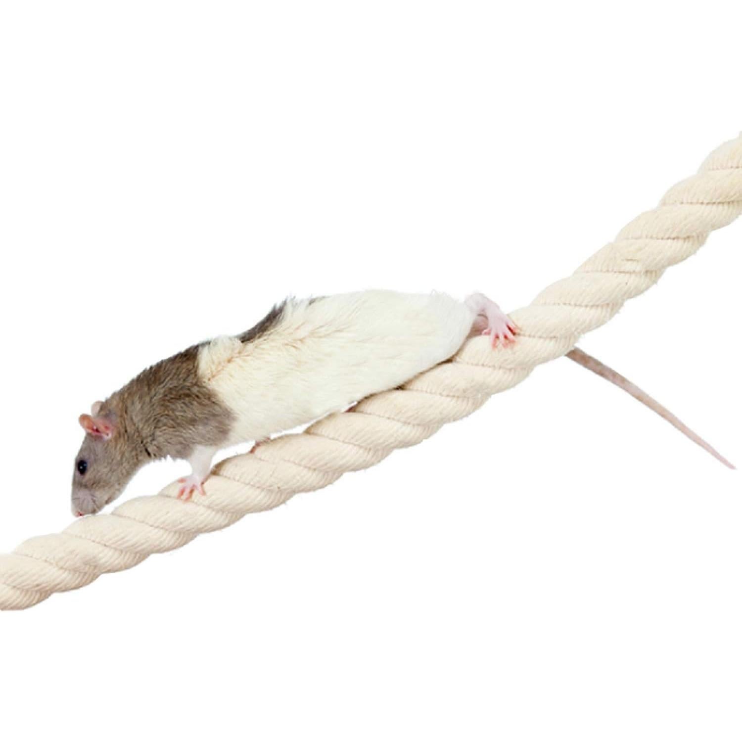 Cuerda Natural Doblable 106.68 cm Exotic Nutrition para Mascotas