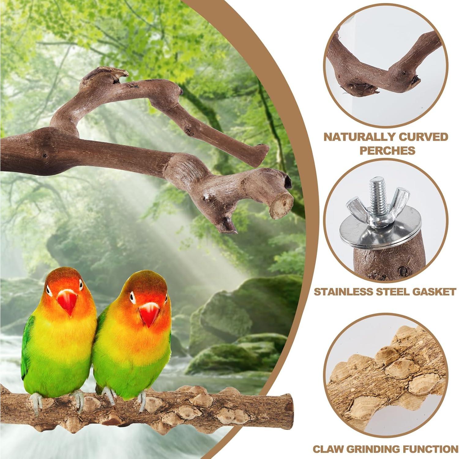 Juego de 6 Perchas para Aves LIMIO - Madera Natural Antideslizante