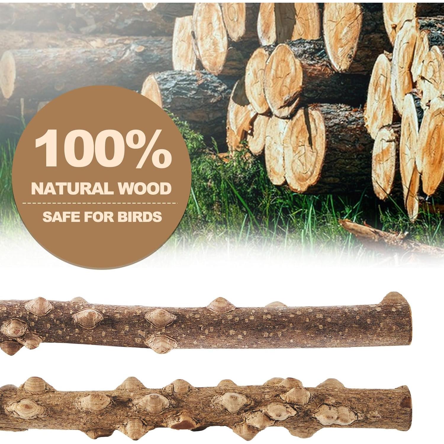 Juego de 6 Perchas para Aves LIMIO - Madera Natural Antideslizante
