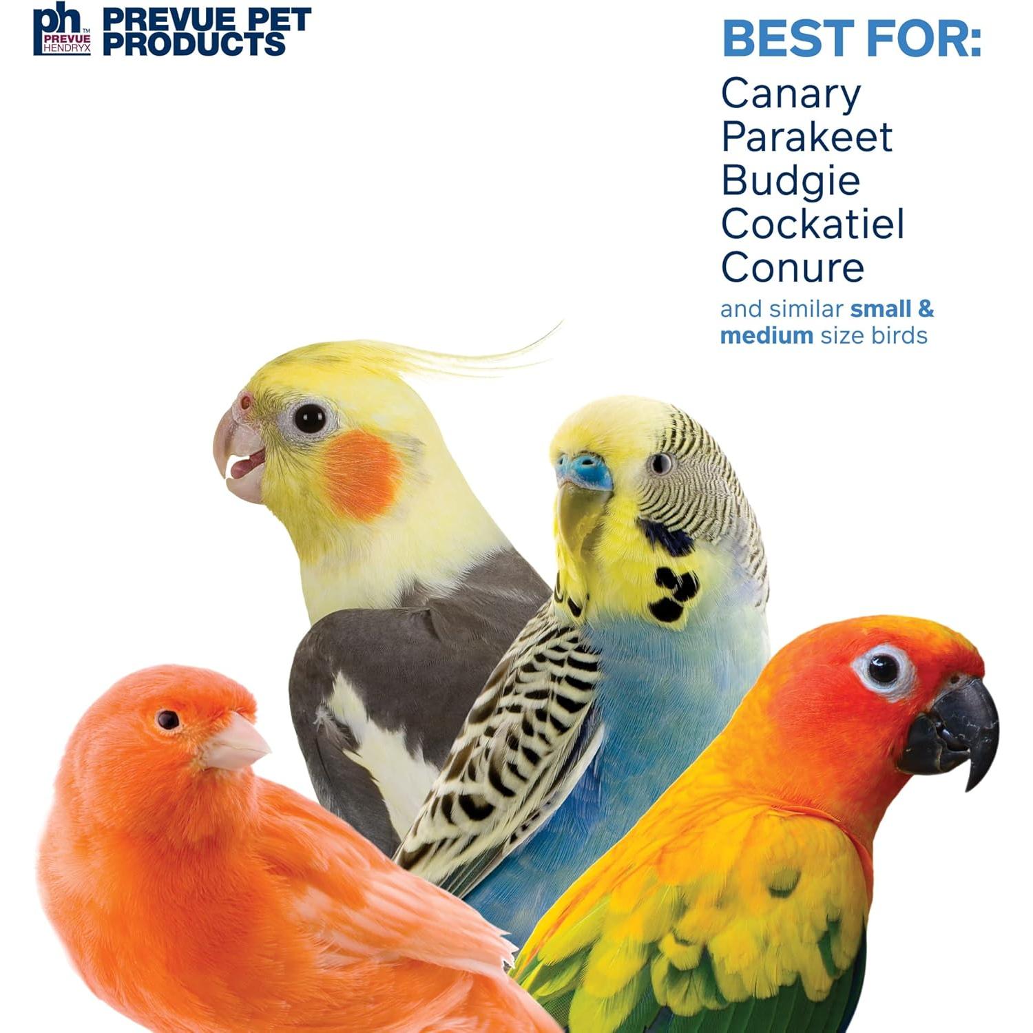 Juguete para Pájaro Espejo Linterna Prevue 60420 13.34 cm