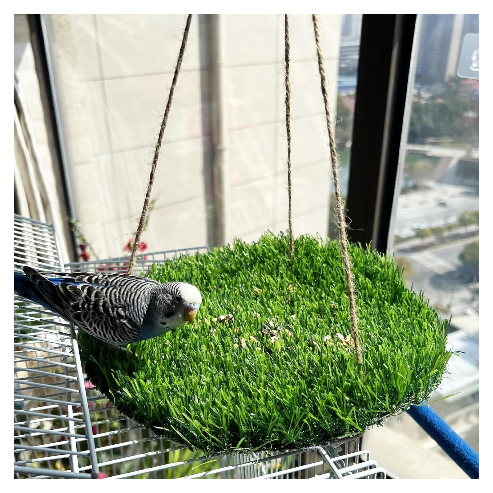 Alfombra de Forrajeo para Aves FlidRunest 43.9x23.9cm Hierba Natural