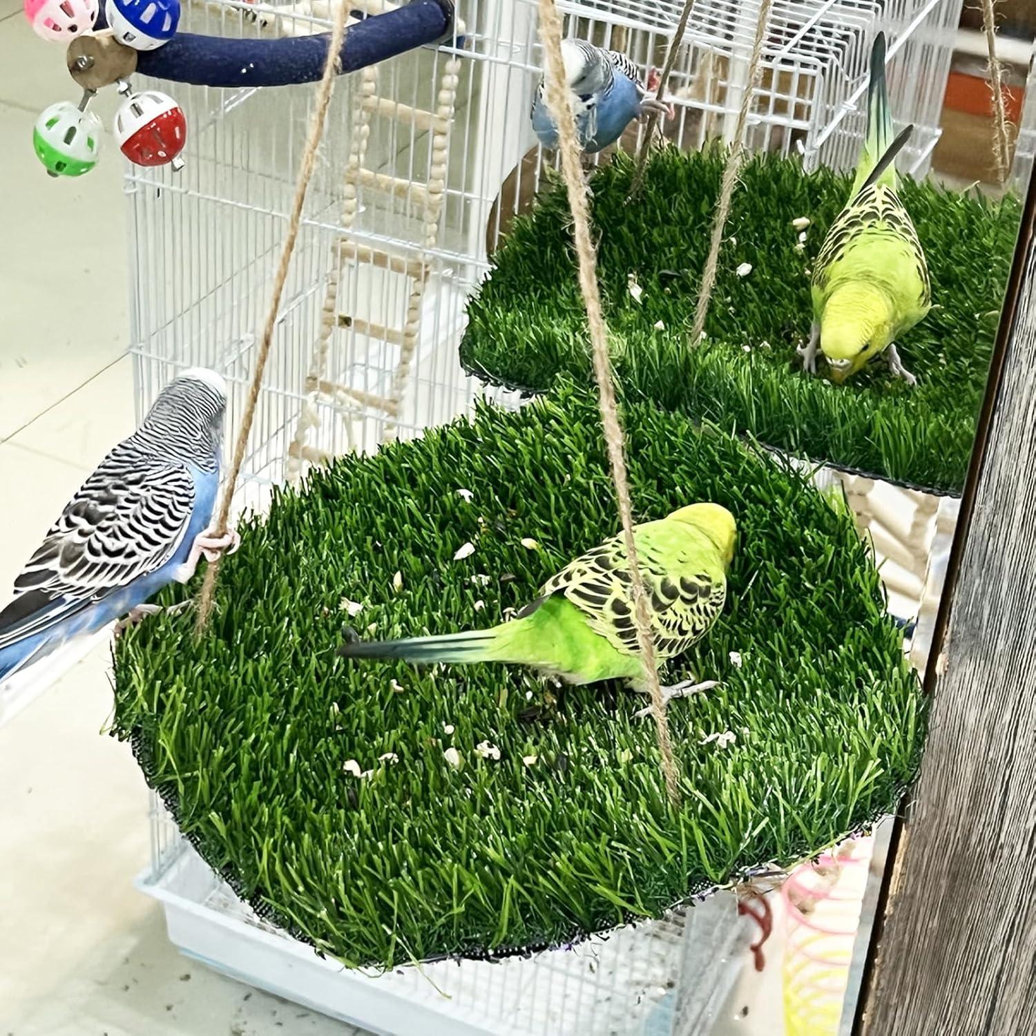 Alfombra de Forrajeo para Aves FlidRunest 43.9x23.9cm Hierba Natural