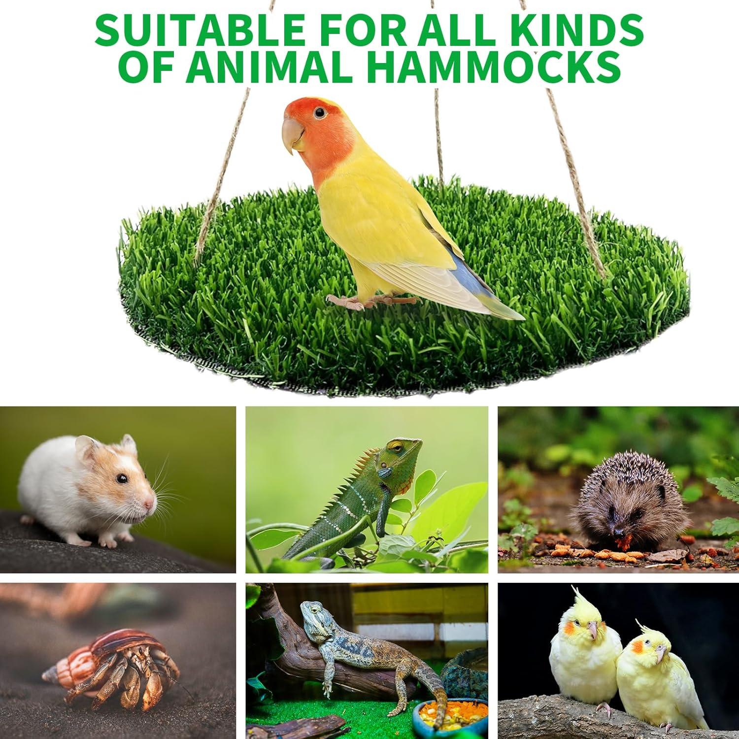 Alfombra de Forrajeo para Aves FlidRunest 43.9x23.9cm Hierba Natural