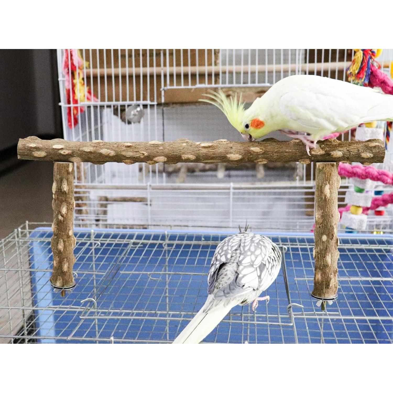 Rama de Soporte para Aves Dnoifne 39.9x17 cm Madera Natural