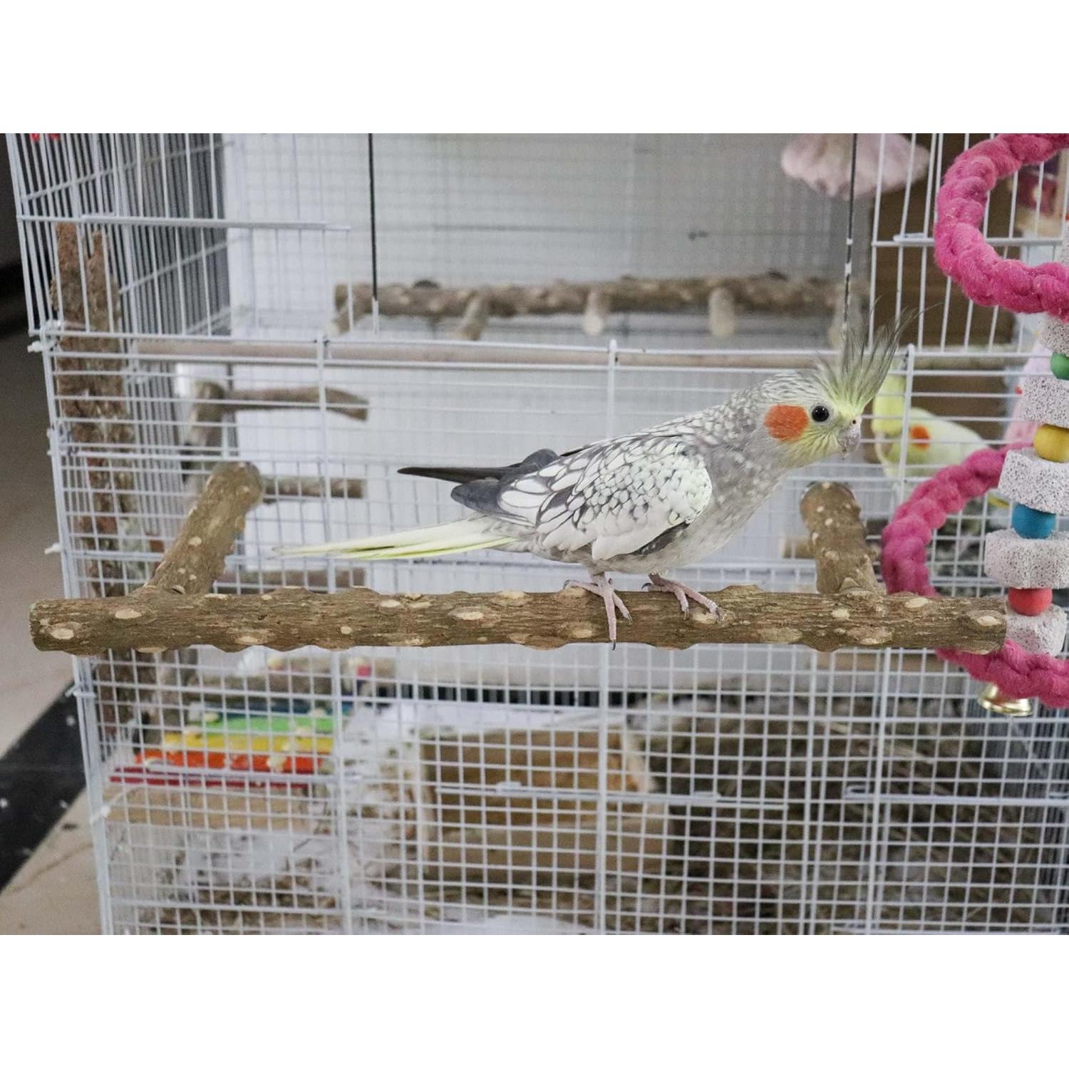 Rama de Soporte para Aves Dnoifne 39.9x17 cm Madera Natural