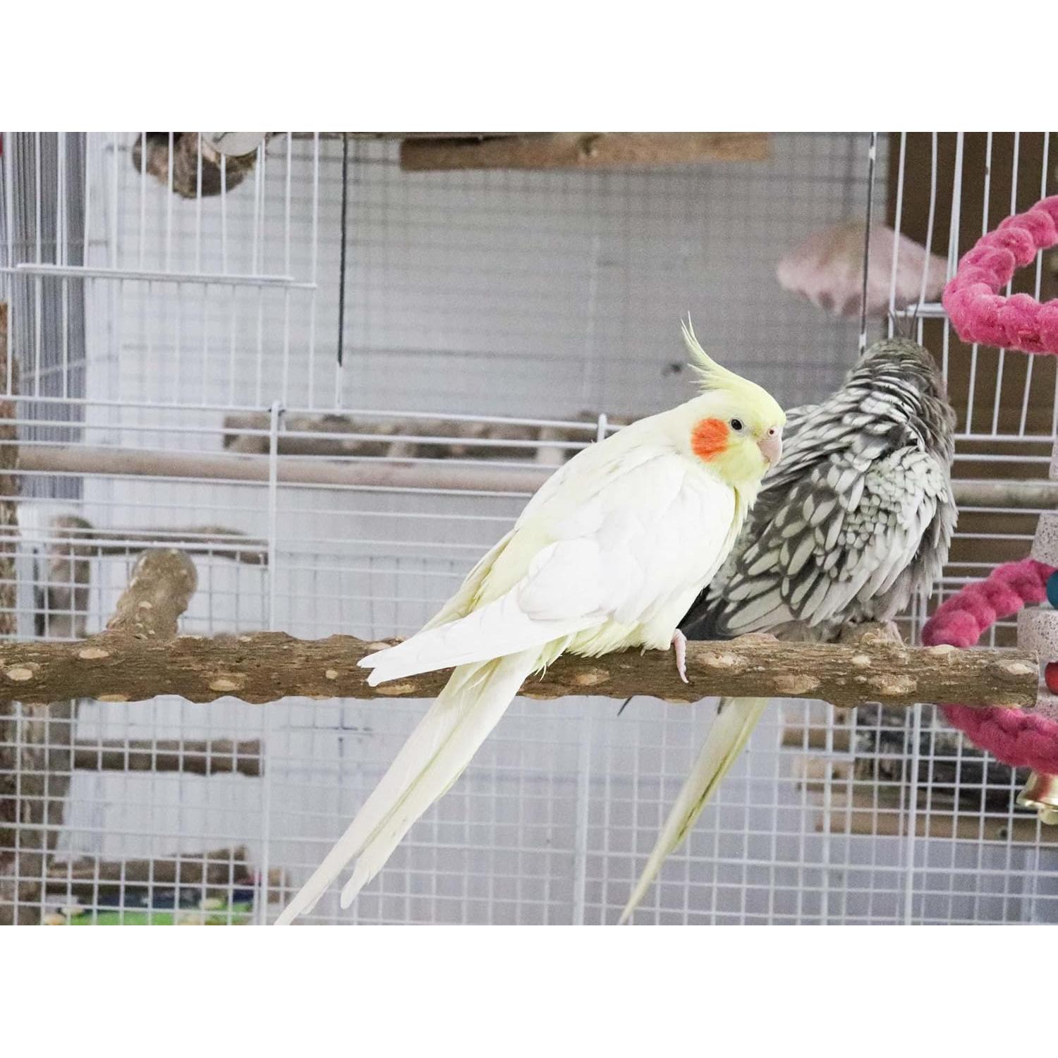 Rama de Soporte para Aves Dnoifne 39.9x17 cm Madera Natural