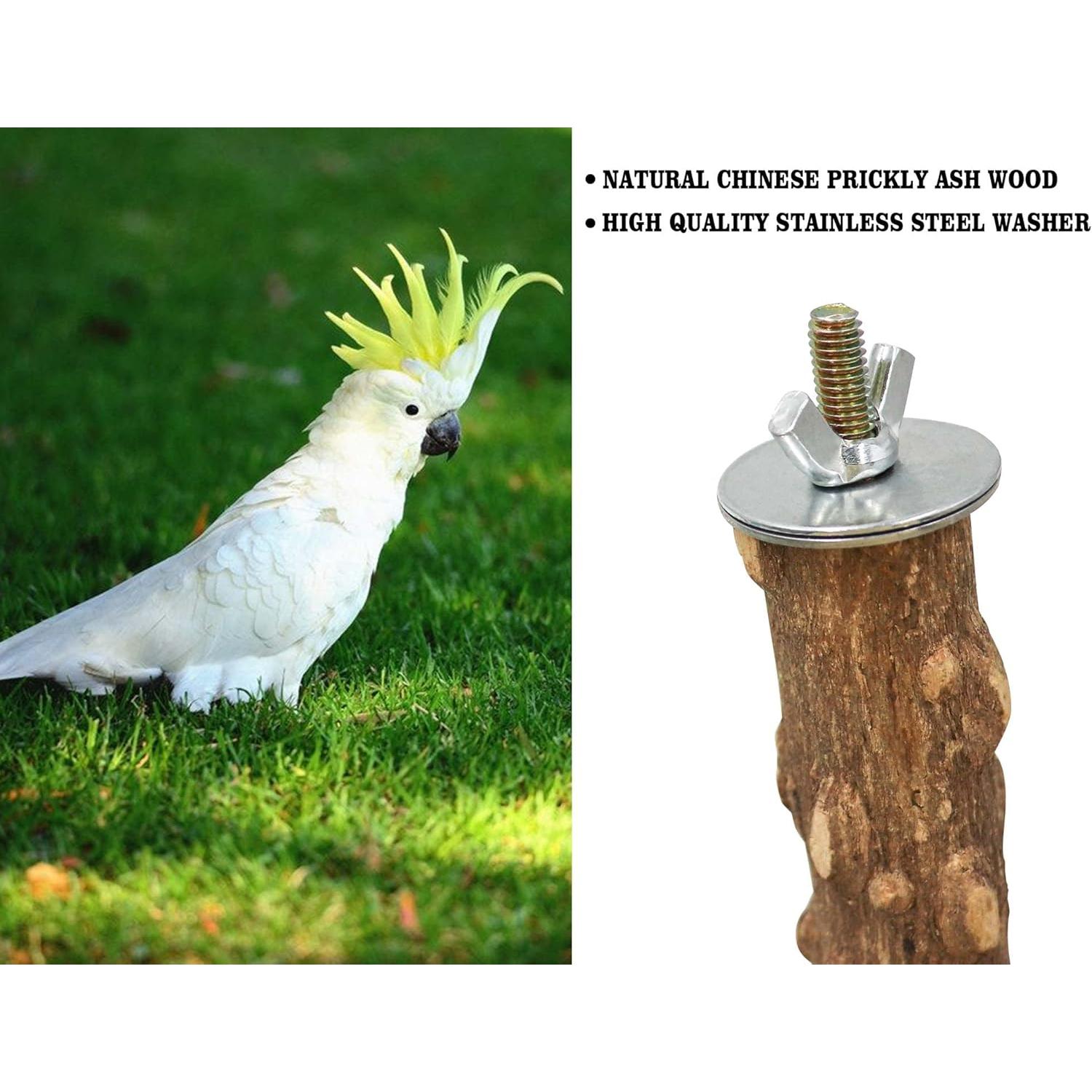 Rama de Soporte para Aves Dnoifne 39.9x17 cm Madera Natural