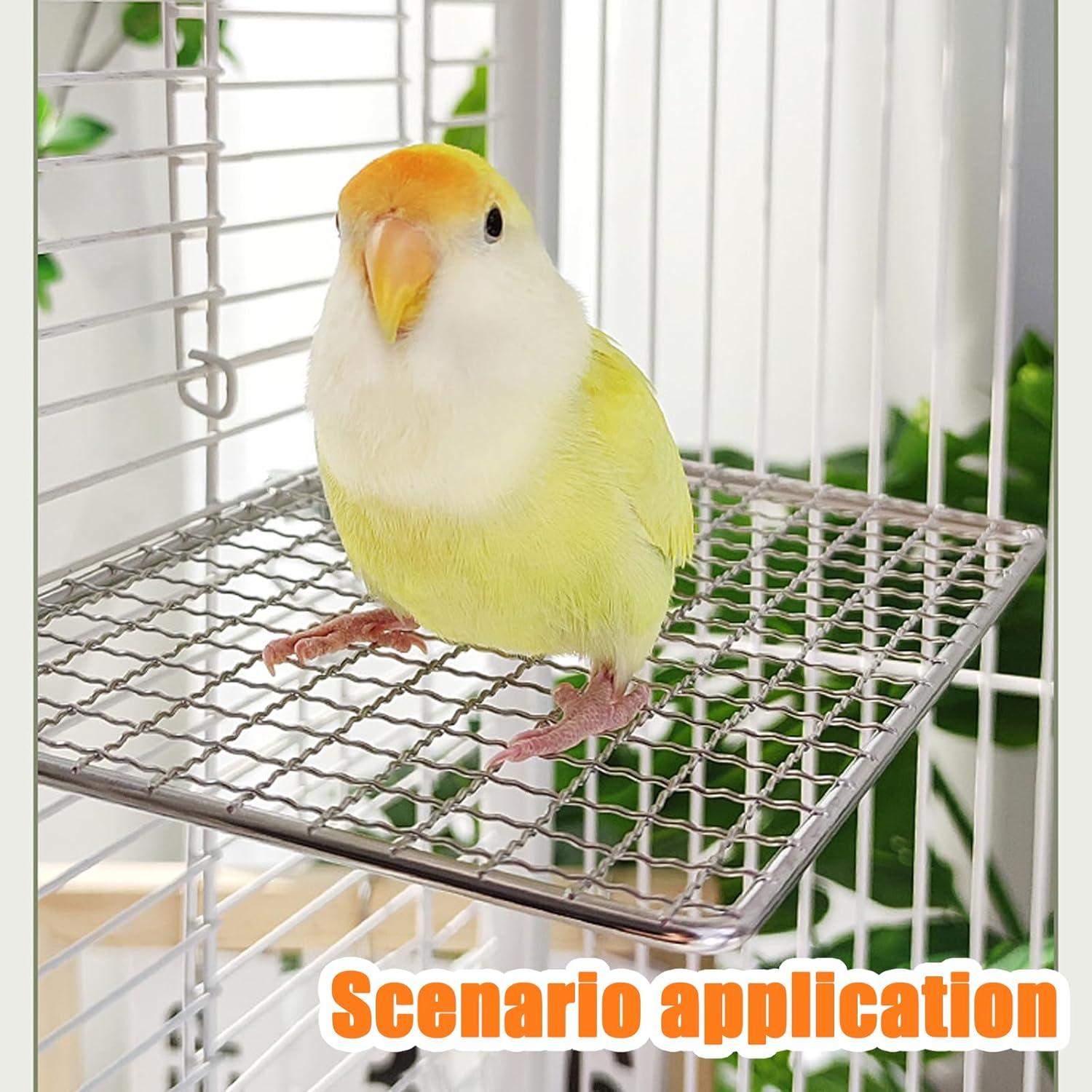 Plataforma para Periquitos RRQKMBO 20x15cm Acero Inoxidable