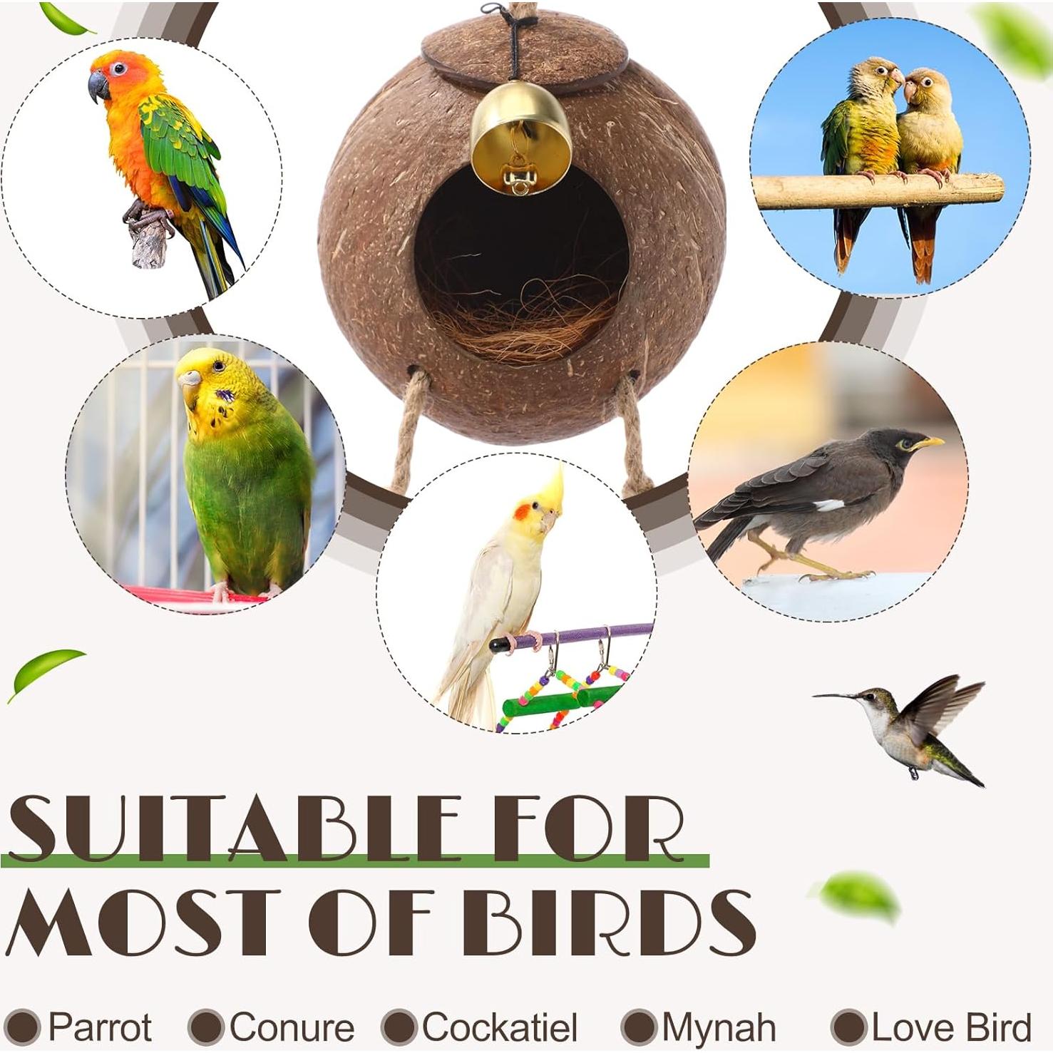 Nido de Coco Natural para Aves Briwooody con Escaleras y Campana