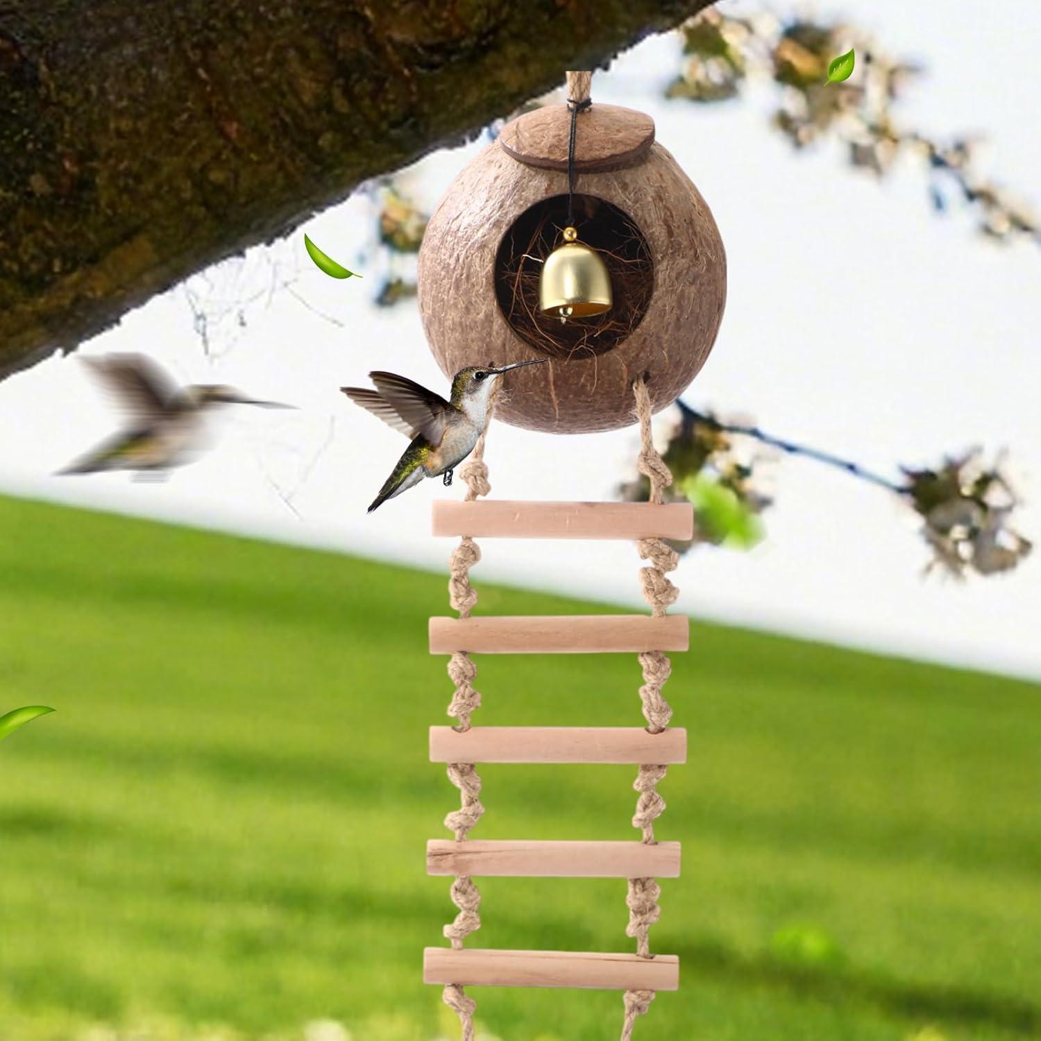 Nido de Coco Natural para Aves Briwooody con Escaleras y Campana