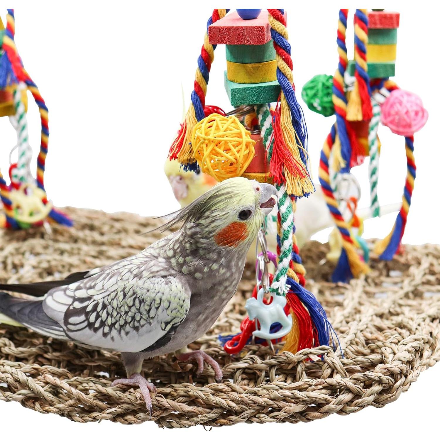 Juguete de columpio para aves Oooct 40x30 cm con hamaca