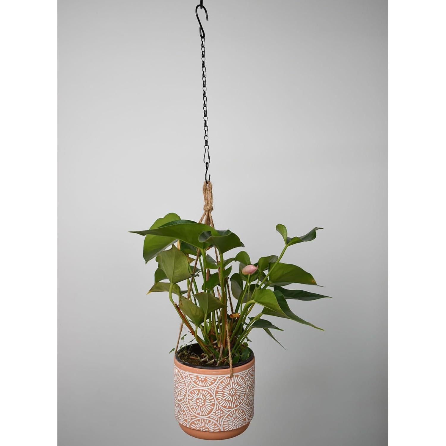 Cadena Colgante Sersberg Negra 11 Pulgadas - 12PCS Resistente