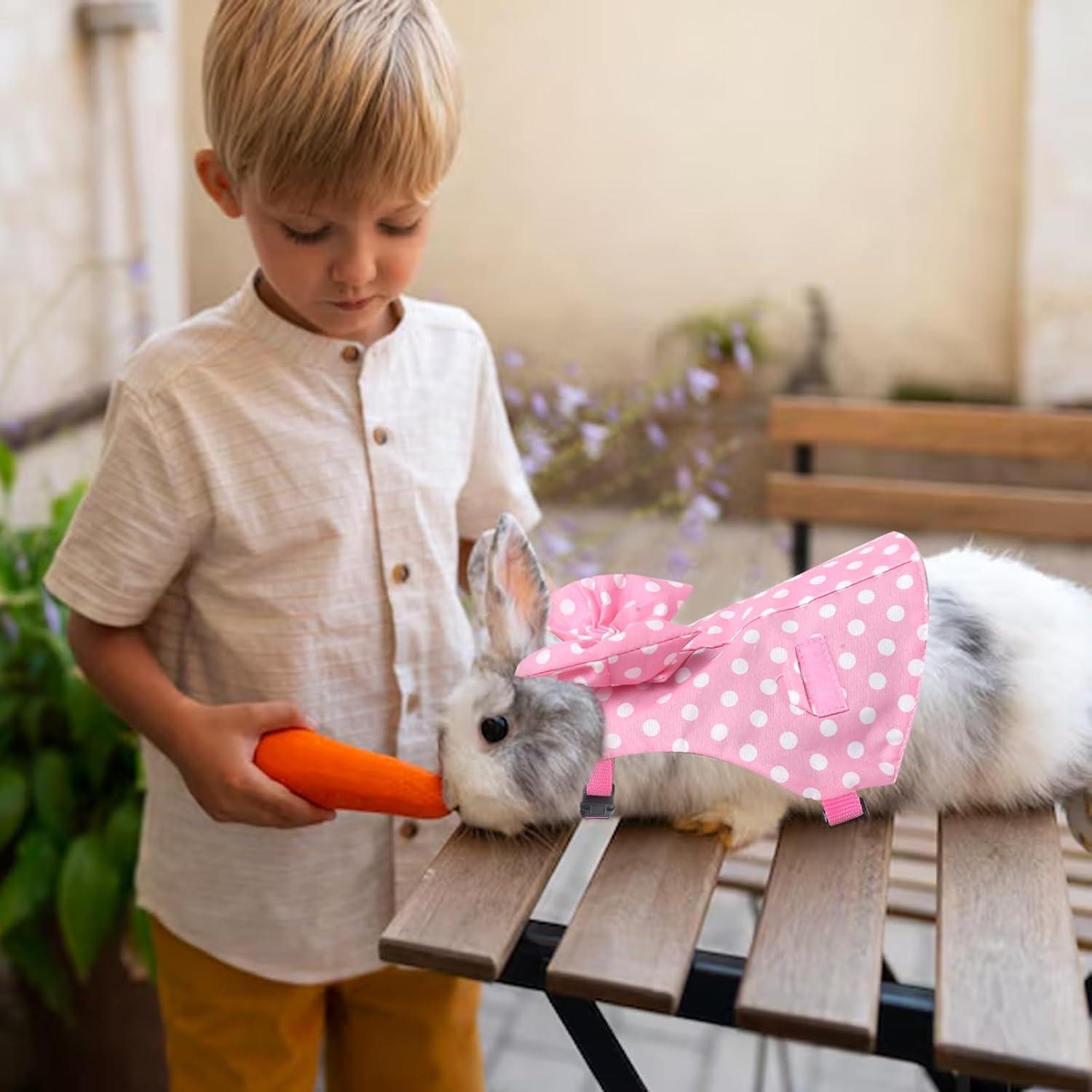 Arnés y Correa para Conejos Disfraz Lunares Rosa Talla M