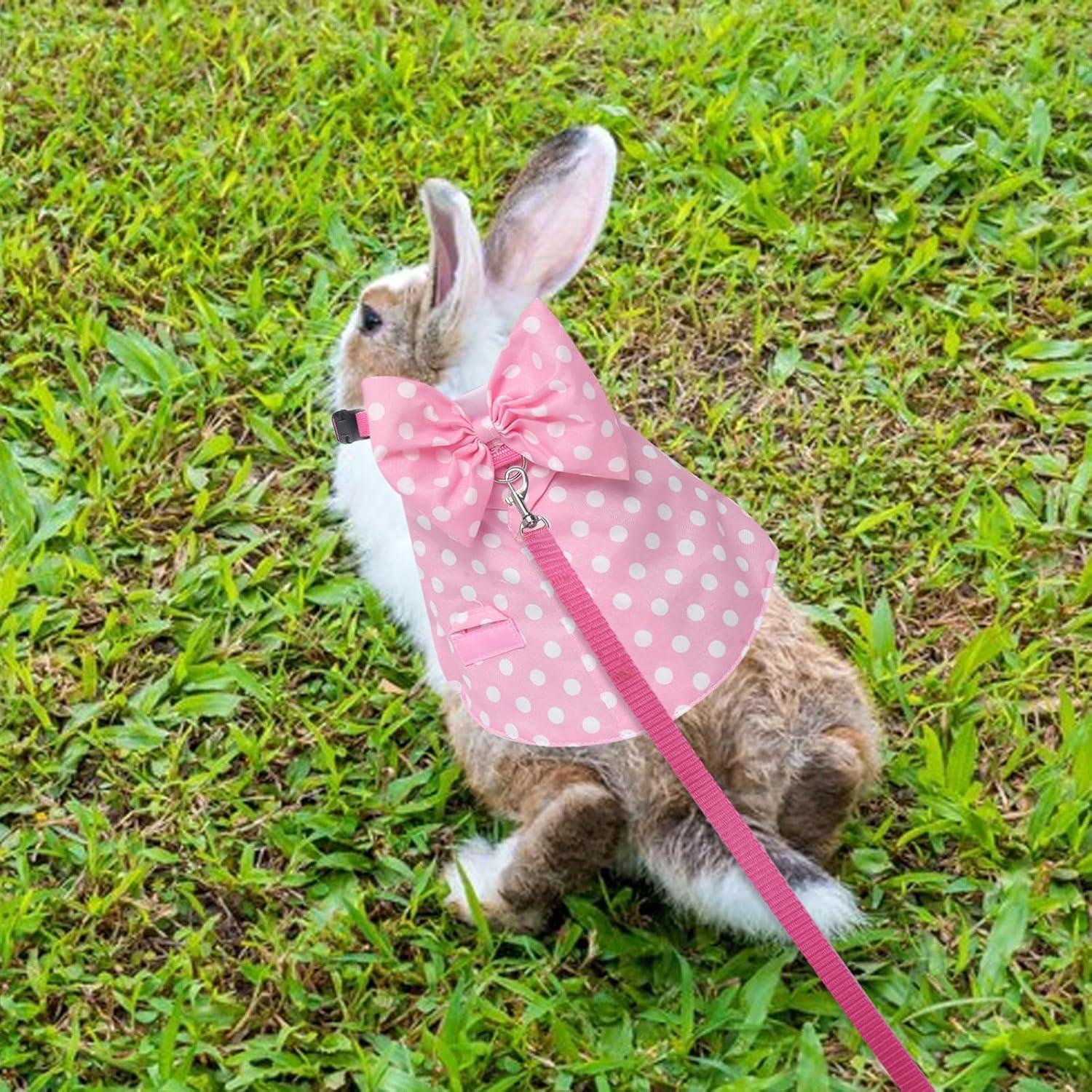 Arnés y Correa para Conejos Disfraz Lunares Rosa Talla M