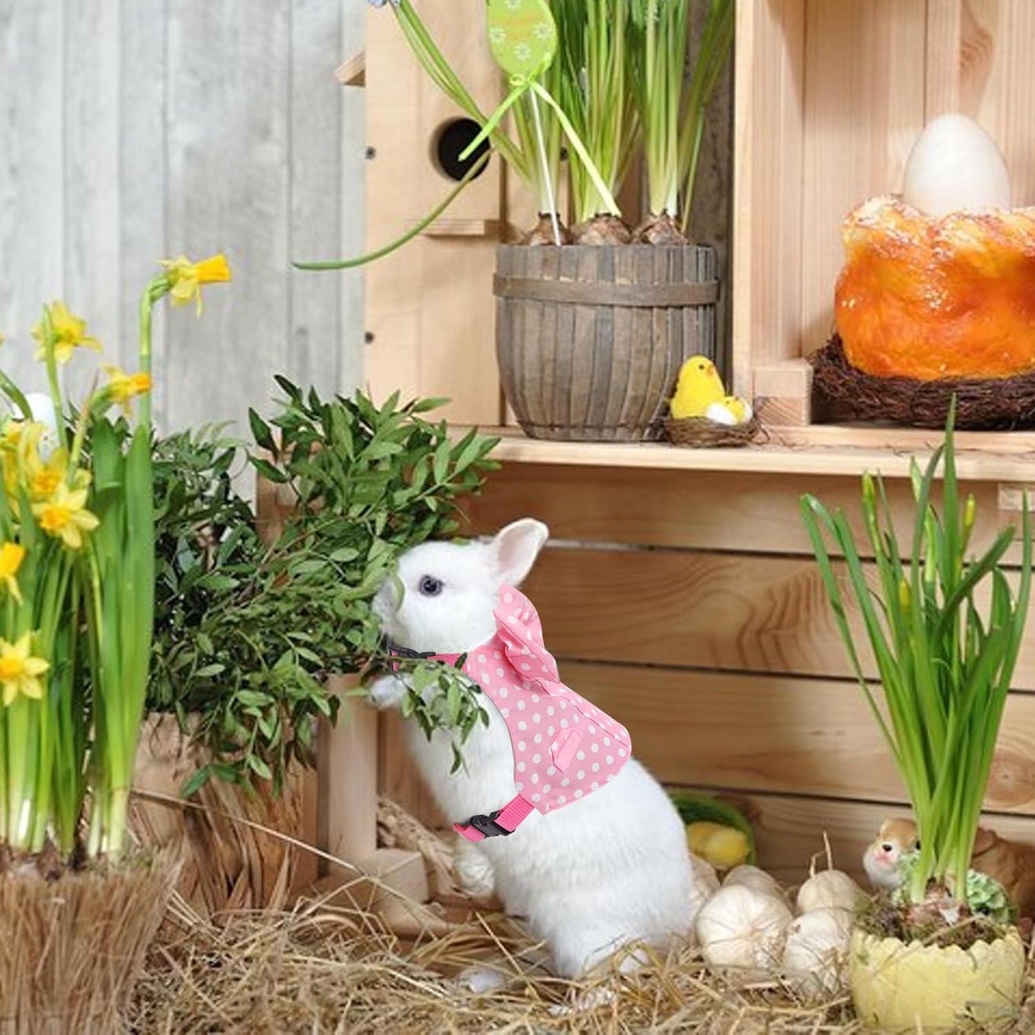 Arnés y Correa para Conejos Disfraz Lunares Rosa Talla M