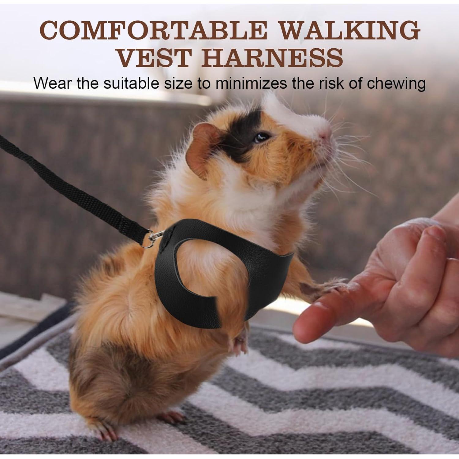 Arnés y Correa para Hámster Rislobx - Paquete de 3 Accesorios