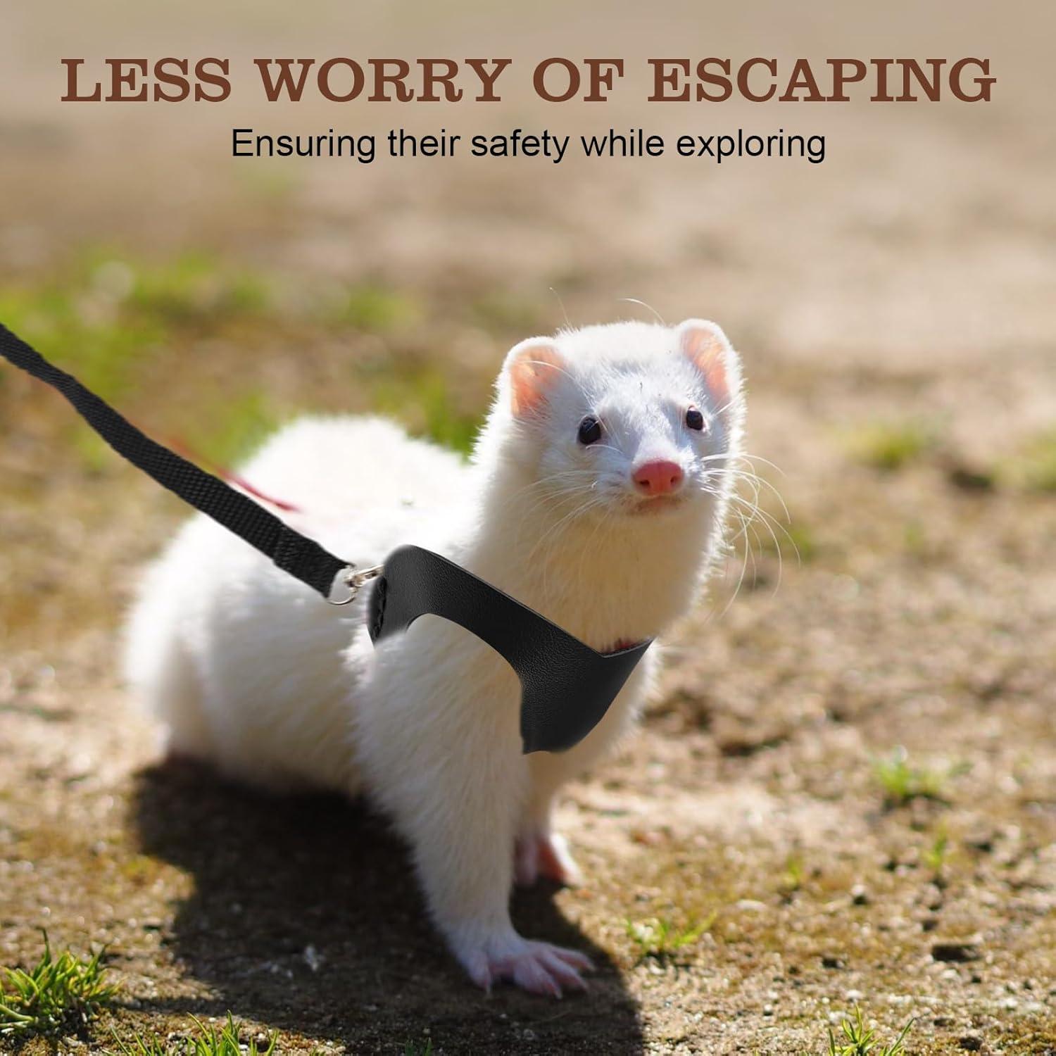 Arnés y Correa para Hámster Rislobx - Paquete de 3 Accesorios