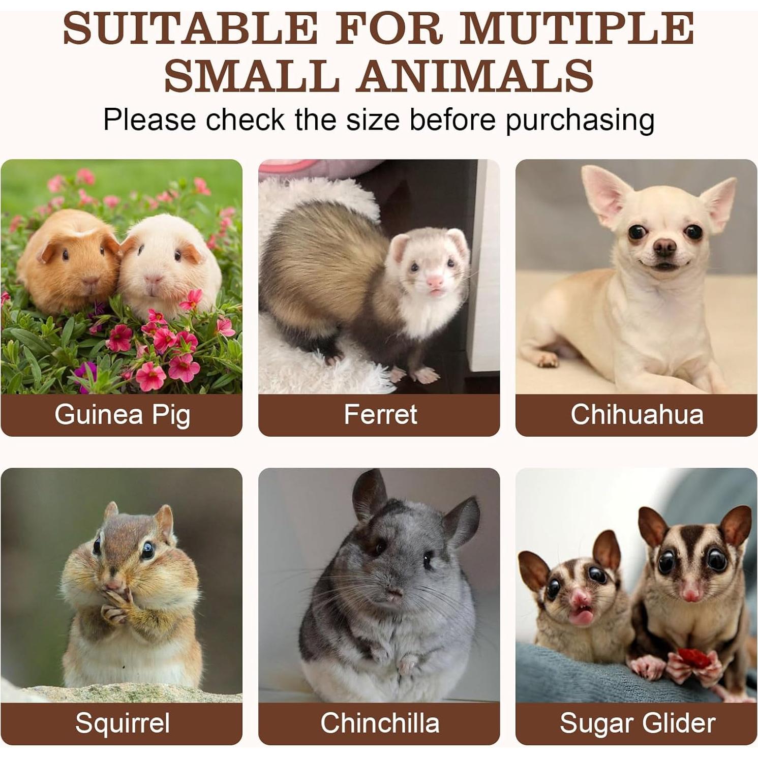 Arnés y Correa para Hámster Rislobx - Paquete de 3 Accesorios