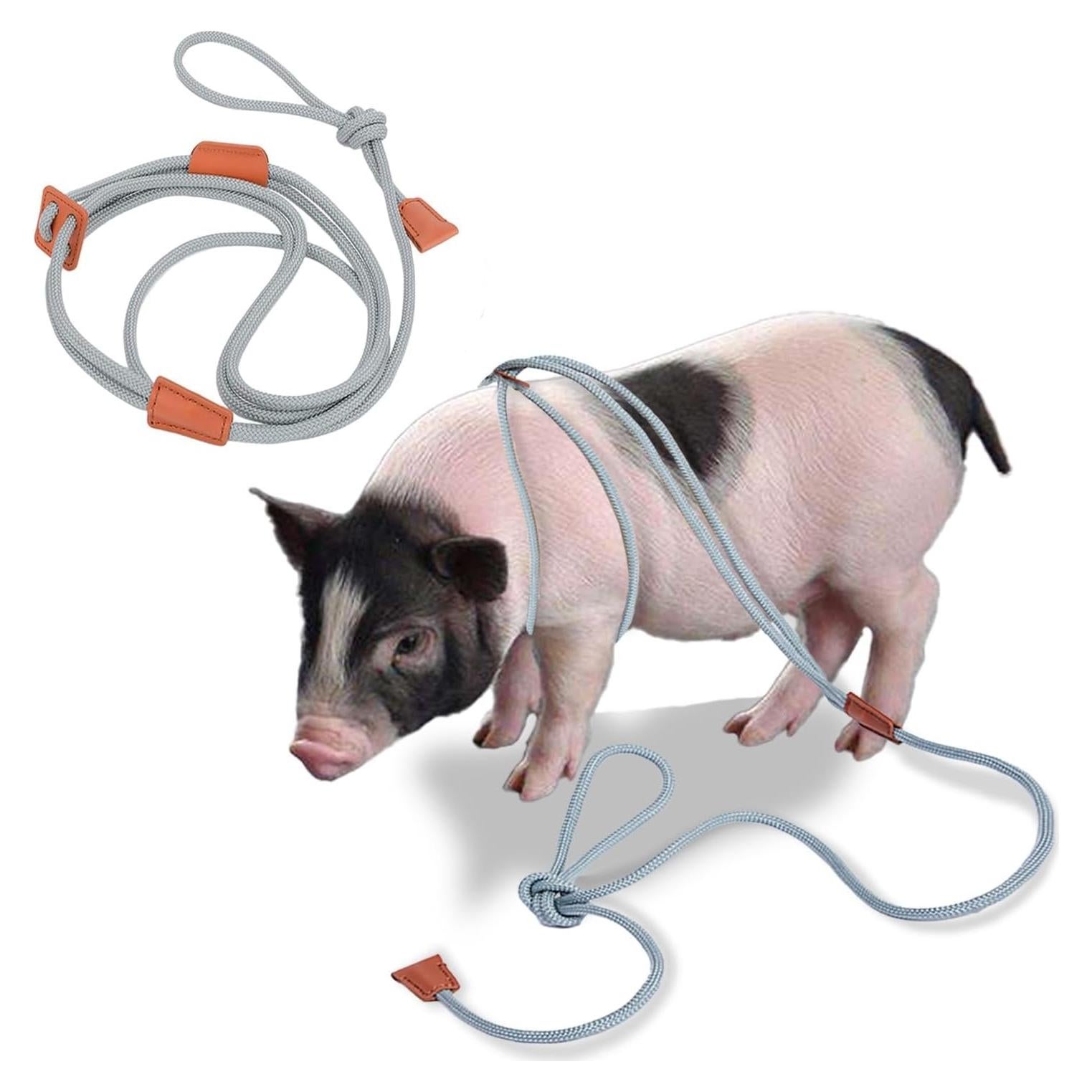 Arnés y Correa Ajustable para Cerdo Mini Meow&Woof - 1.52m