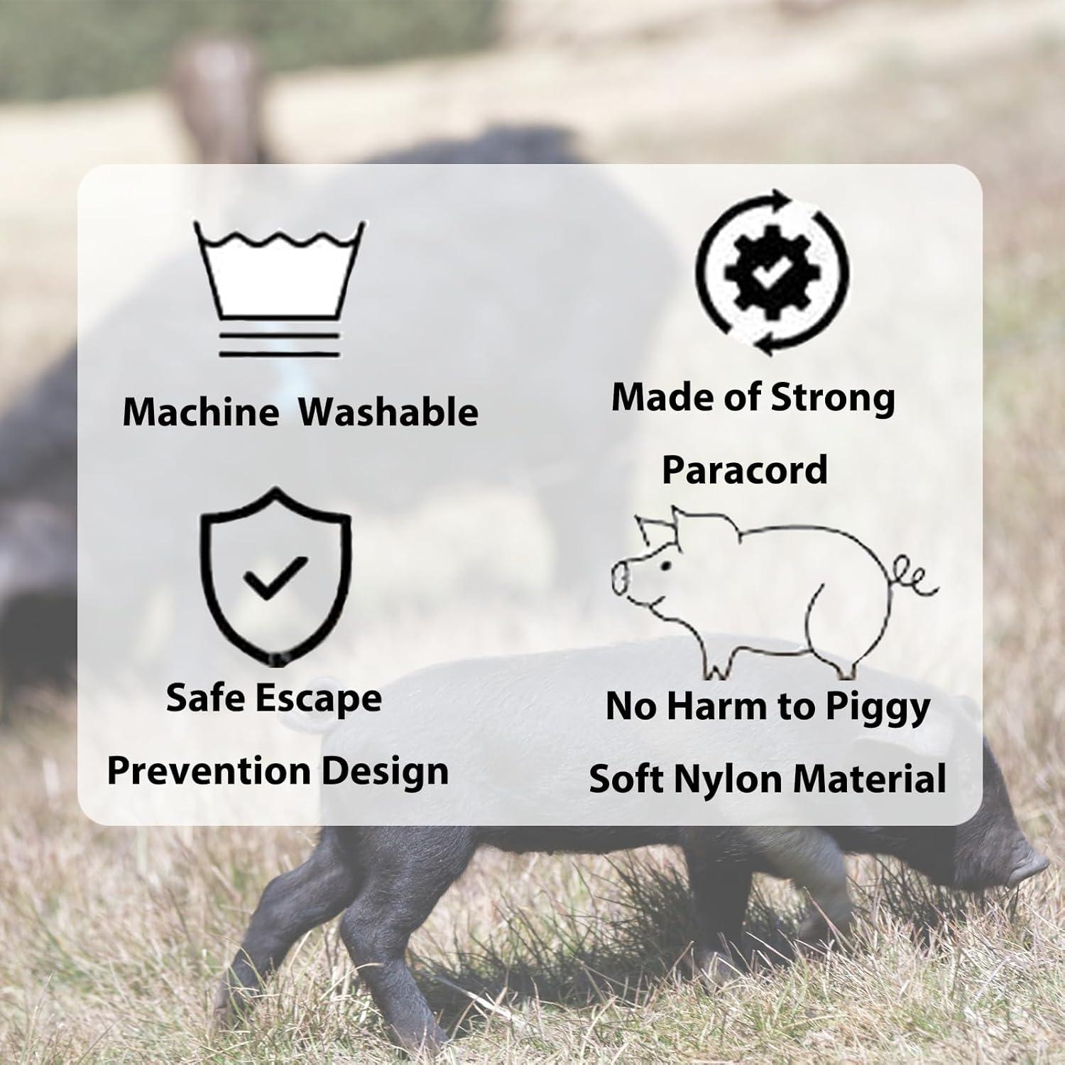 Arnés y Correa Ajustable para Cerdo Mini Meow&Woof - 1.52m