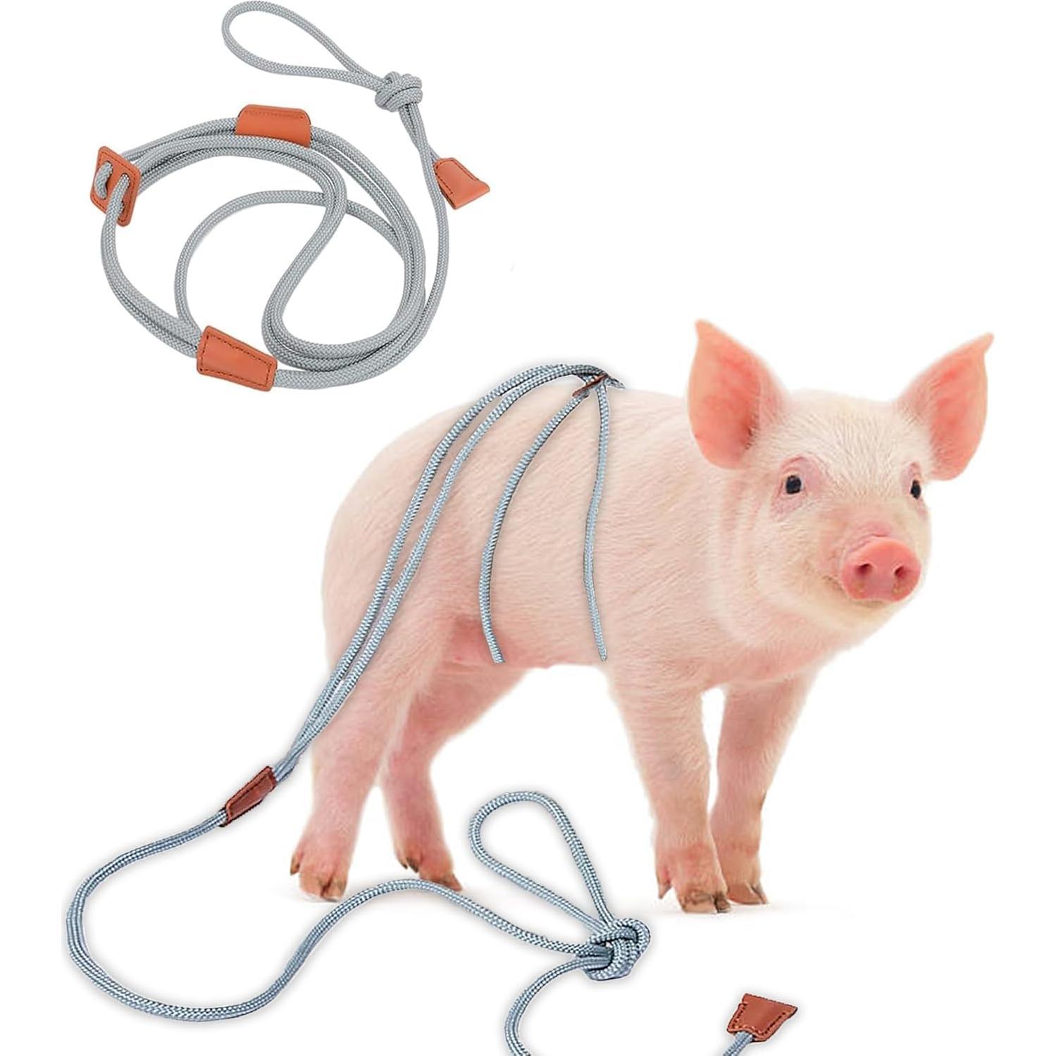 Arnés y Correa Ajustable para Cerdo Mini Meow&Woof - 1.52m