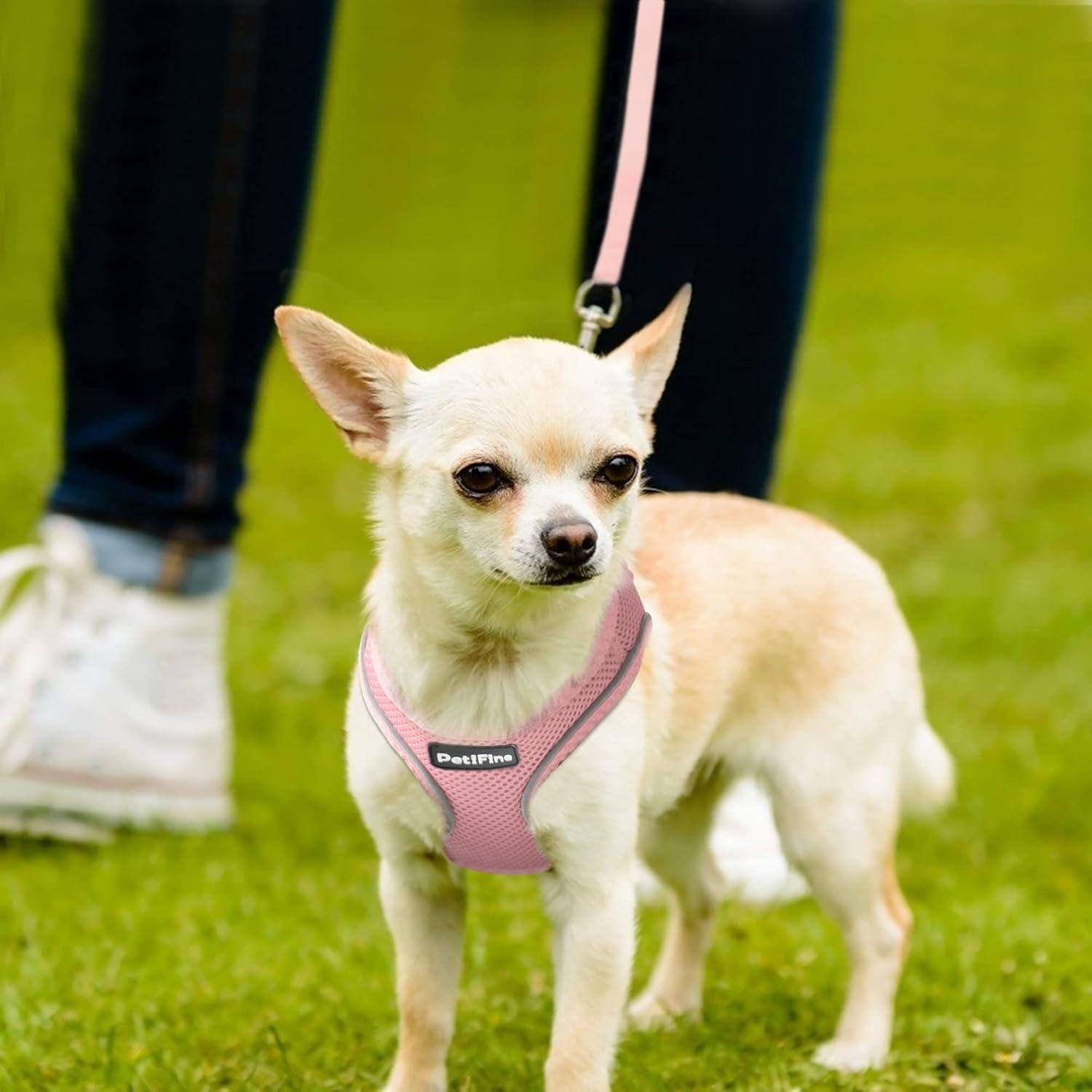 Arnés y Correa PetiFine para Perros Pequeños Transpirable XS Rosa