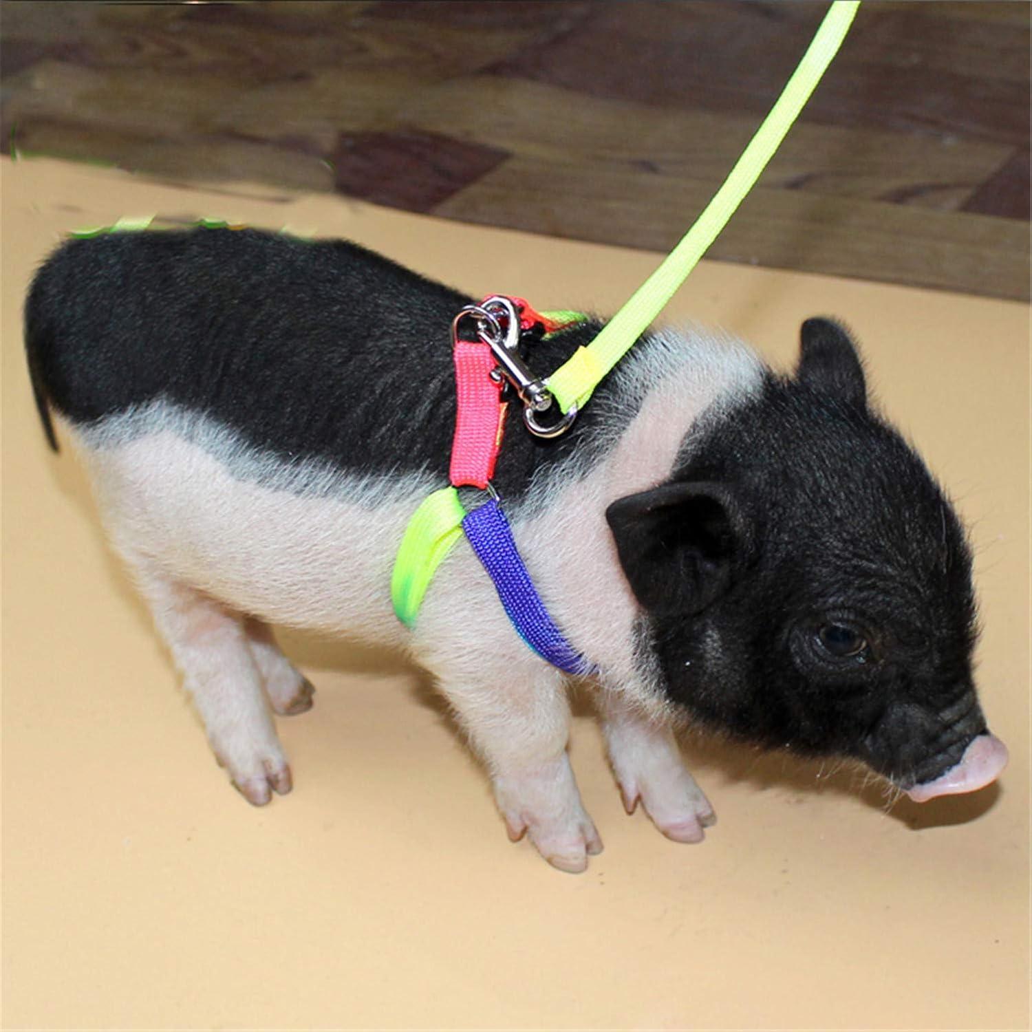 Arnés Ajustable para Cerdo Pequeño y Animales Pequeños - Shenzhenchenglin