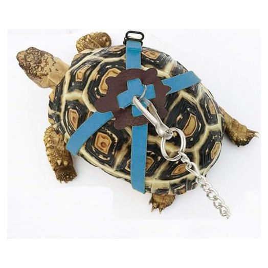 Arnés y Correa Ajustable para Tortugas FORZENA Azul S