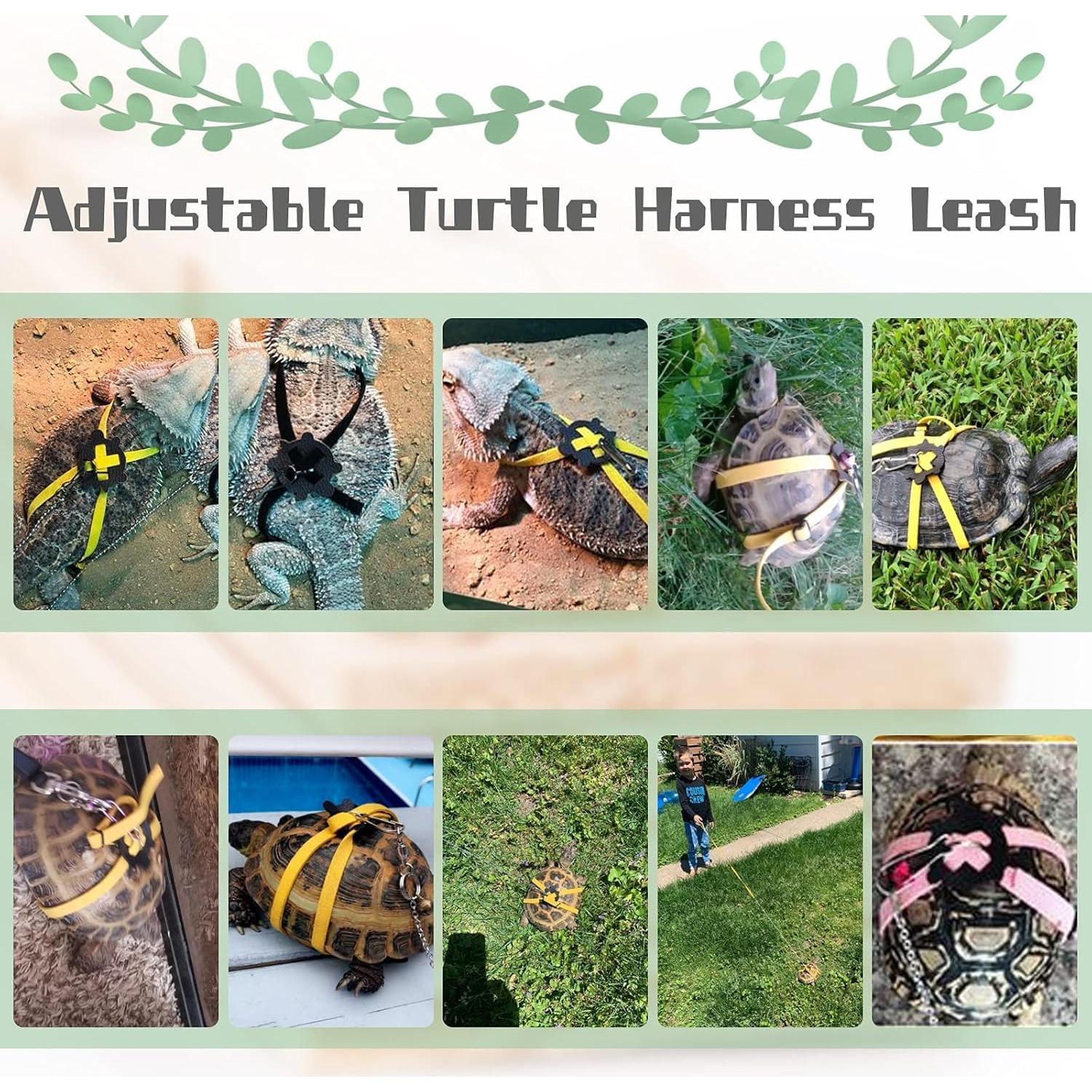 Arnés y Correa Ajustable para Tortugas FORZENA Azul S