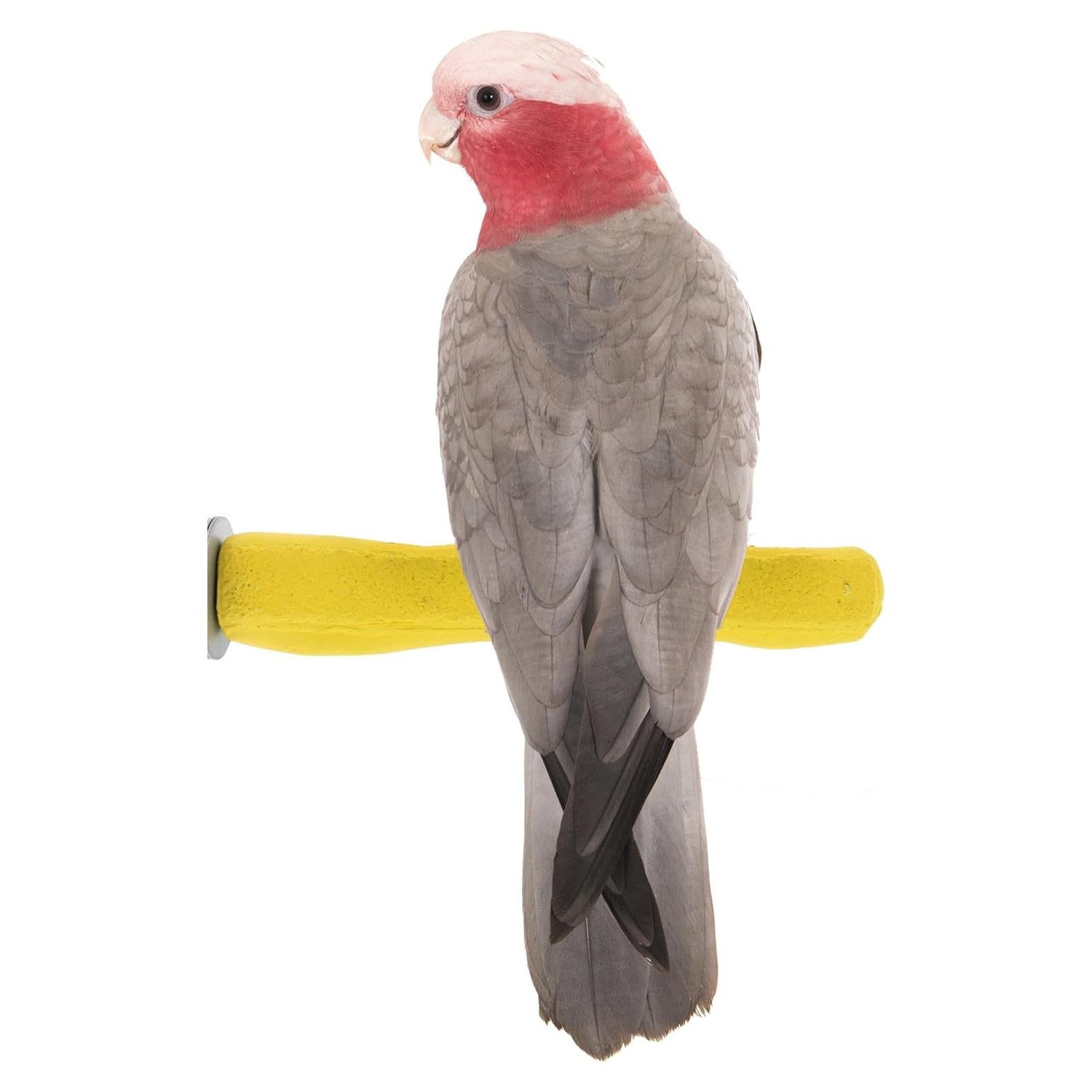 Percha de Seguridad Mediana Sweet Feet & Beak 21.6 cm Amarillo