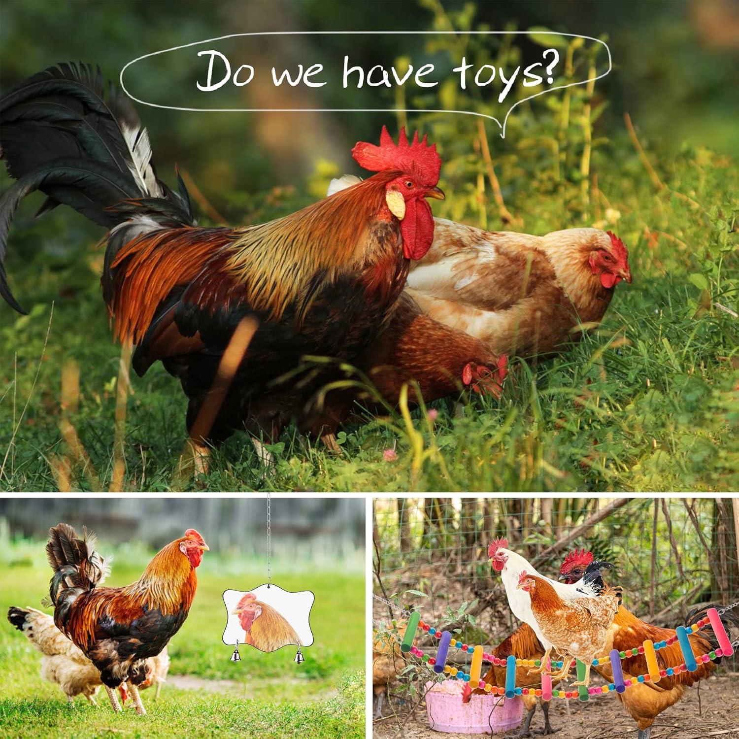 Juguetes para Pollos KAKUNM 9PCS Set Enriquecimiento