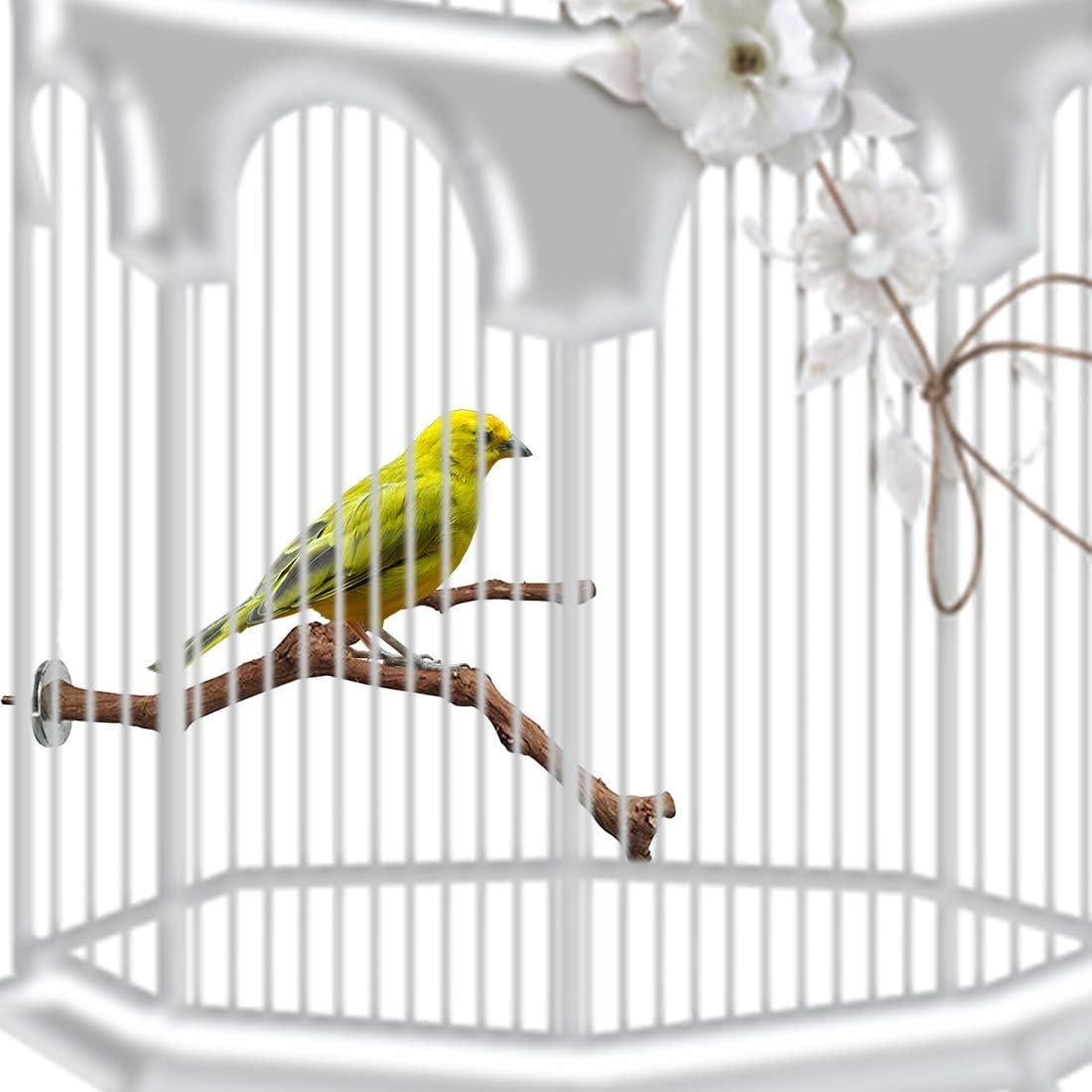 Percha para Aves PINVNBY de Madera de Uva Natural 30cm