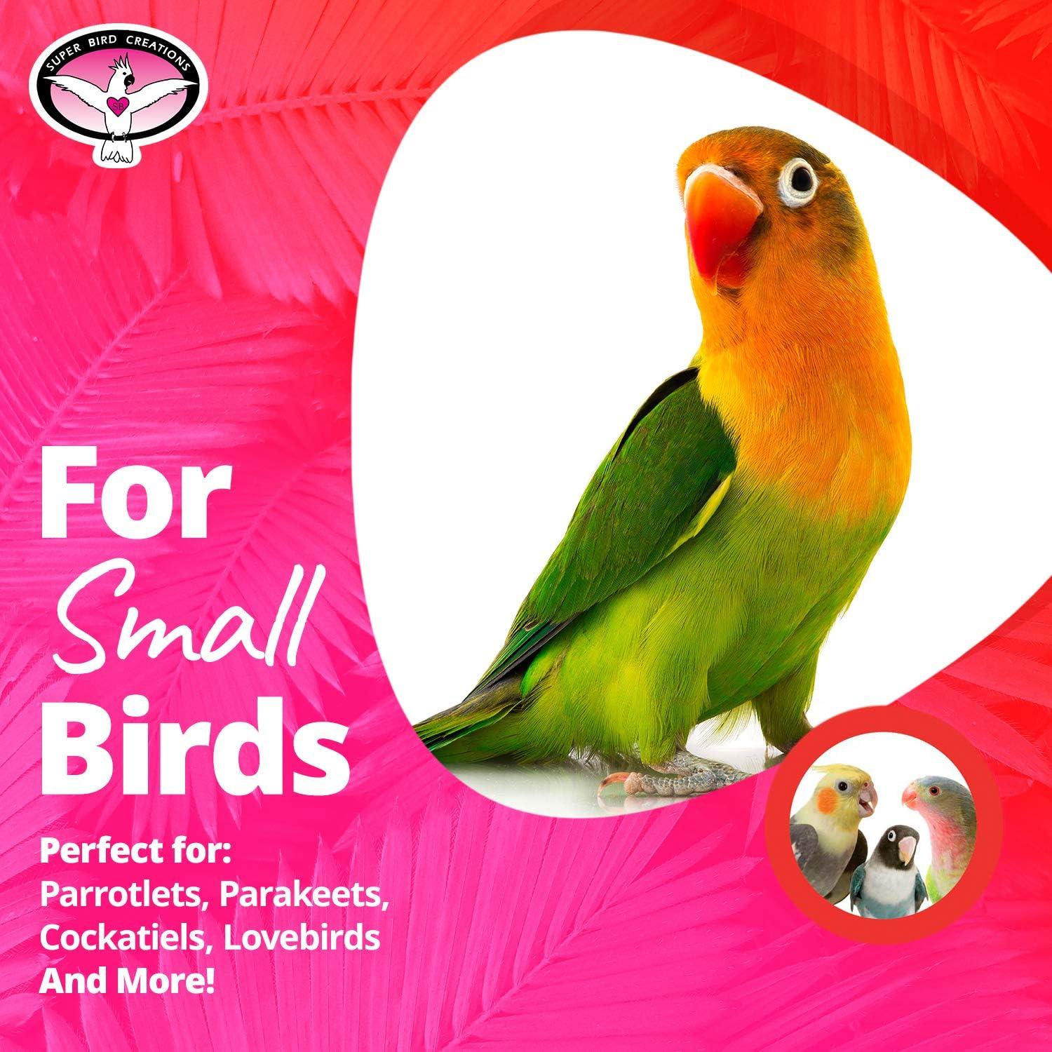 Juguete para Aves Super Bird Creations SB541 Estrella 15.24 cm