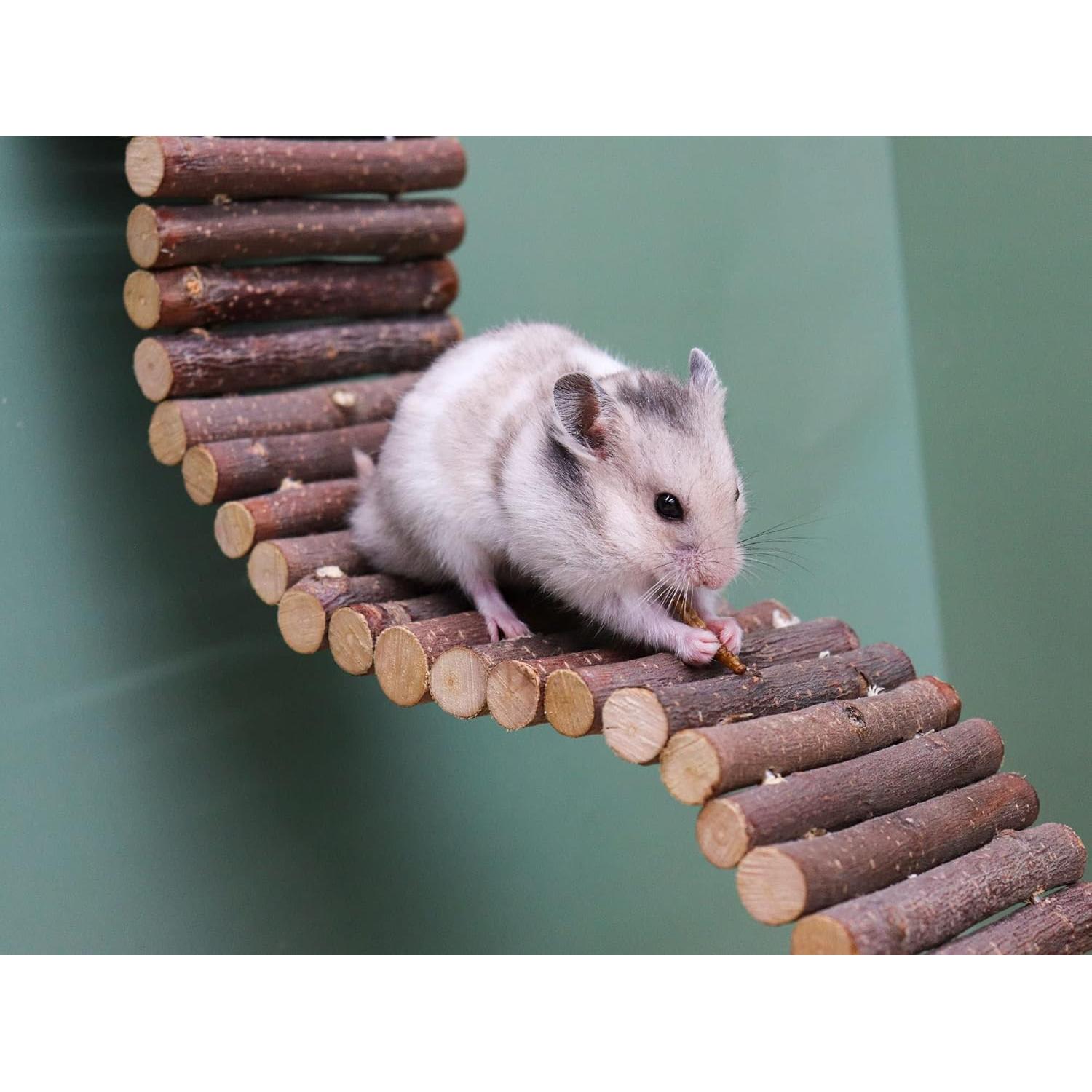 Puente de Escalera de Madera Dnoifne 60x8 cm para Hámster y Aves