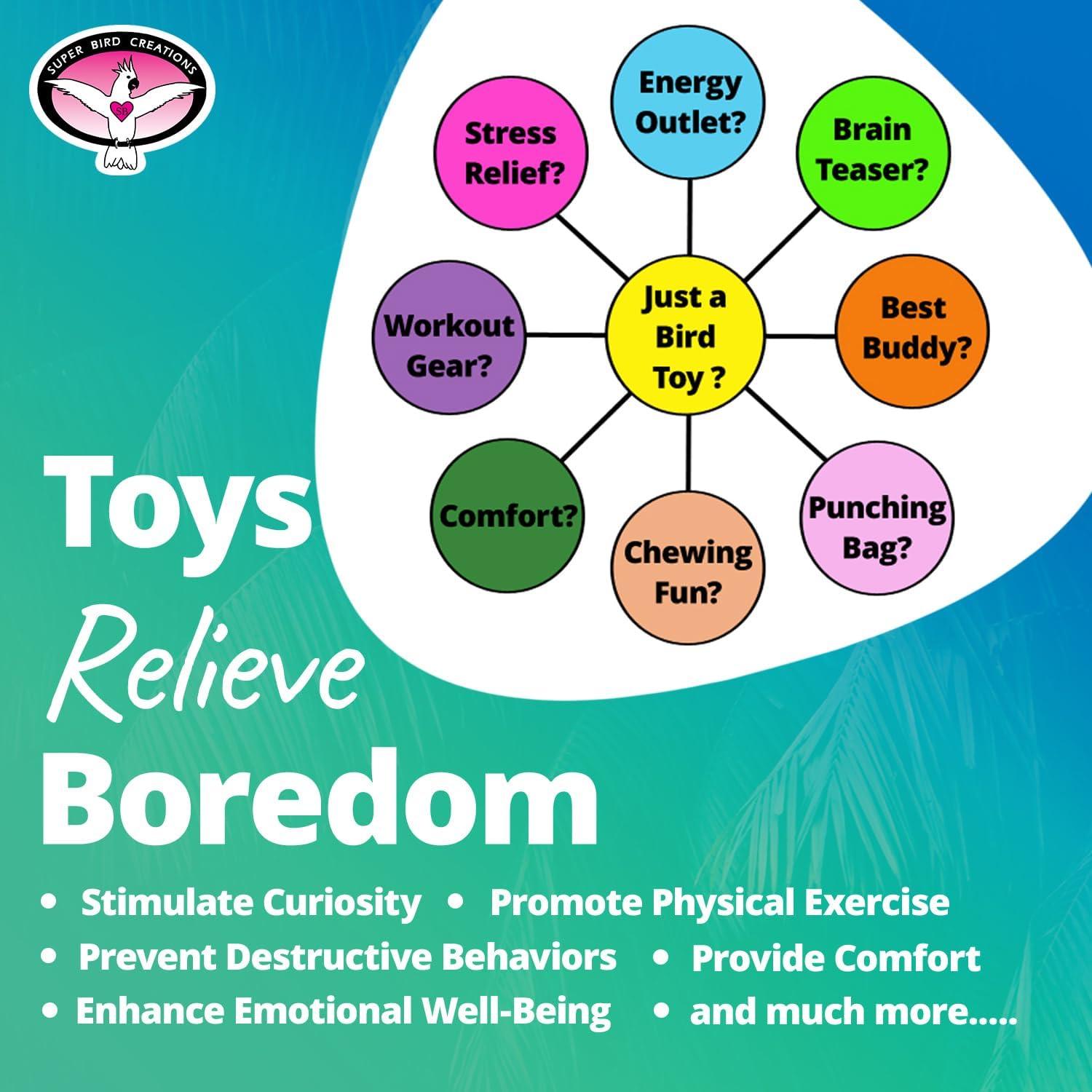 Juguete para Aves Super Bird Creations Mini Starburst 14x6.4cm