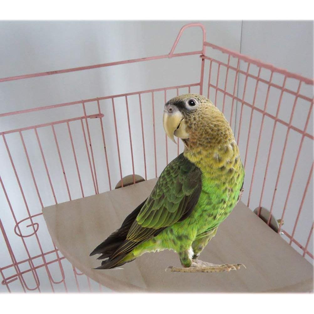 Perchera de Madera Natural Dream-Wonderland para Loros y Pequeños Animales